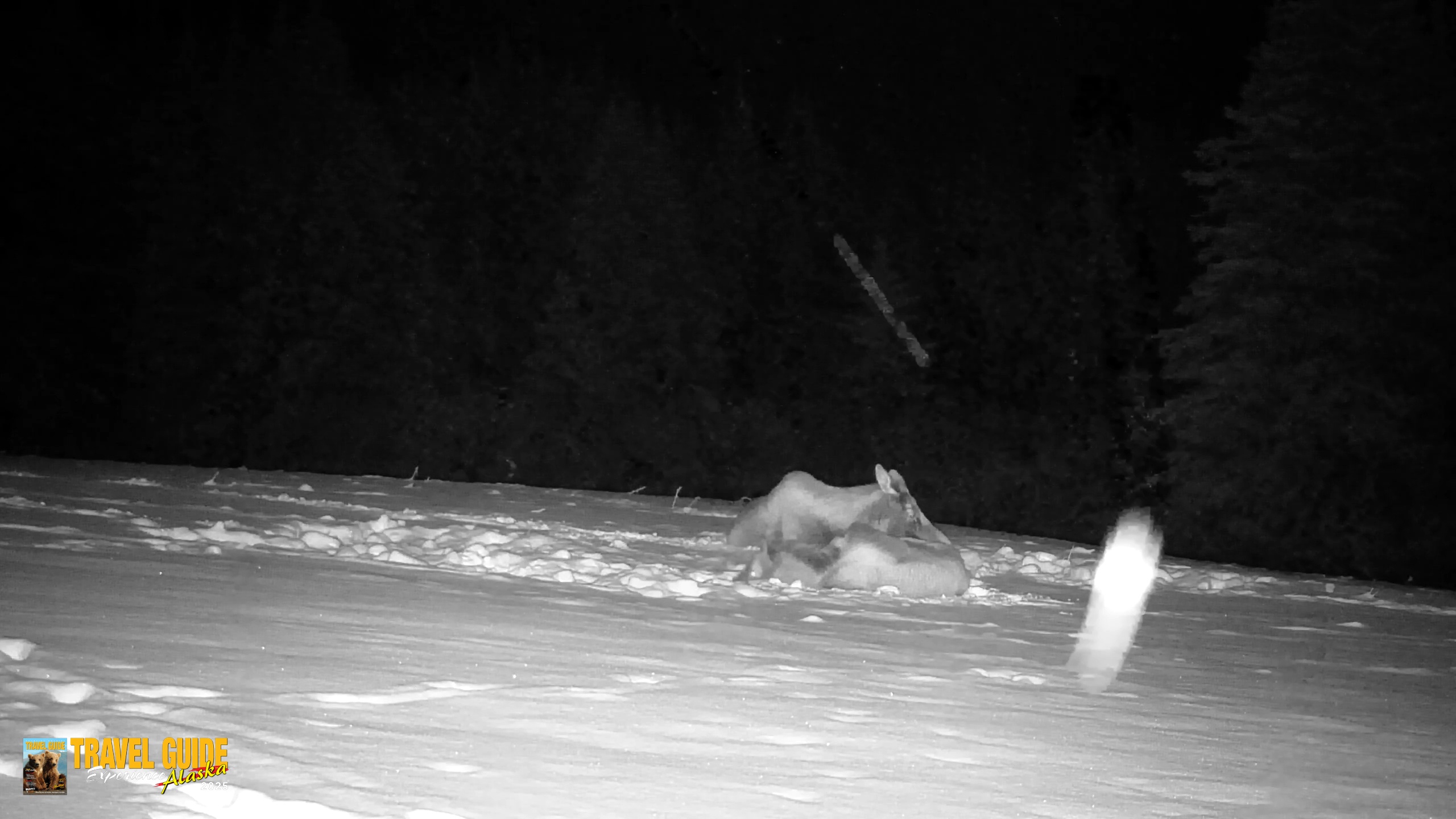 Snapshot of Inspiration Ridge - Homer Alaska Live Webcam taken Jan 14, 2026, 12:19am AKST