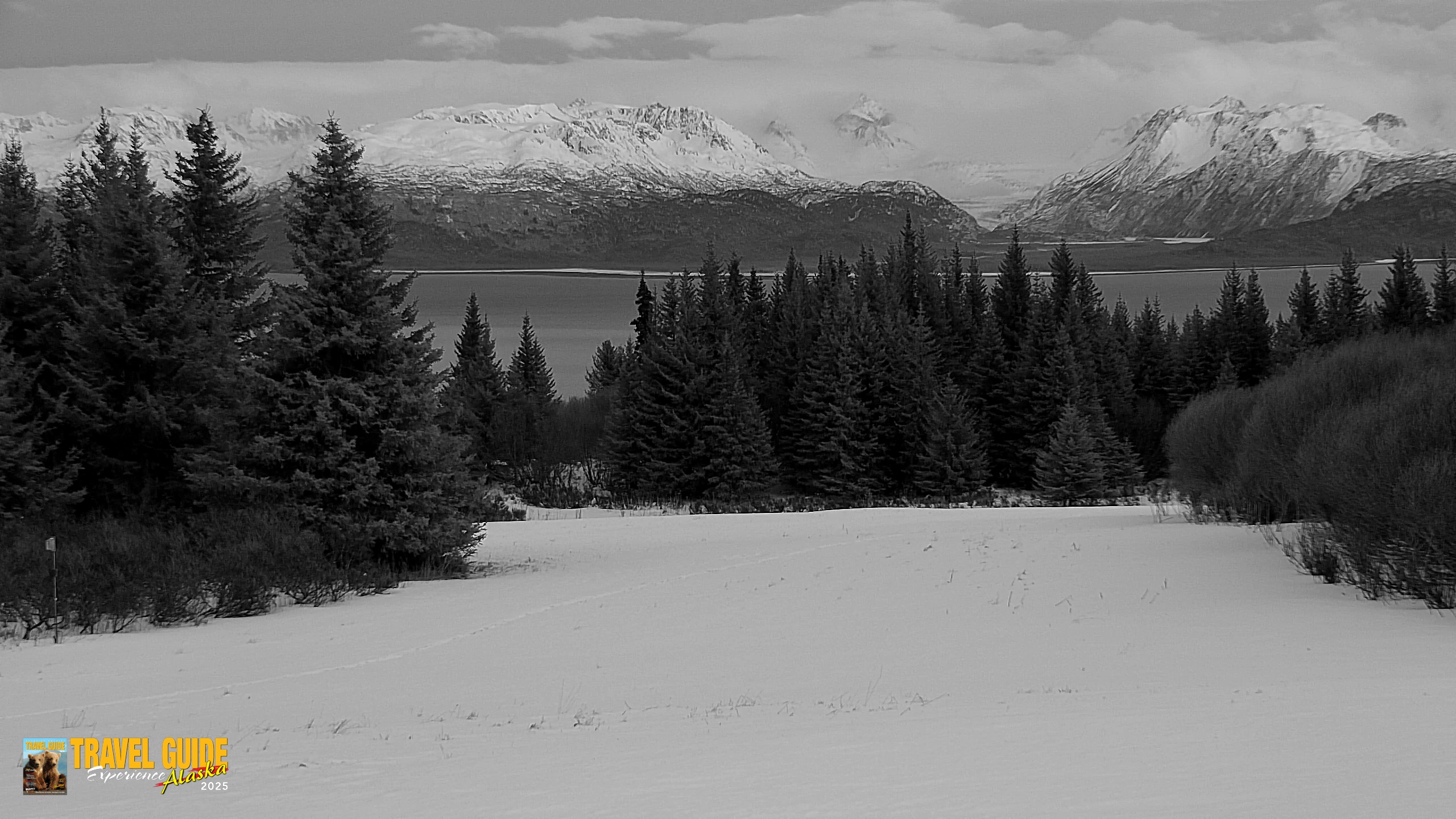 Snapshot of Inspiration Ridge - Homer Alaska Live Webcam taken Jan 17, 2026, 5:30pm AKST