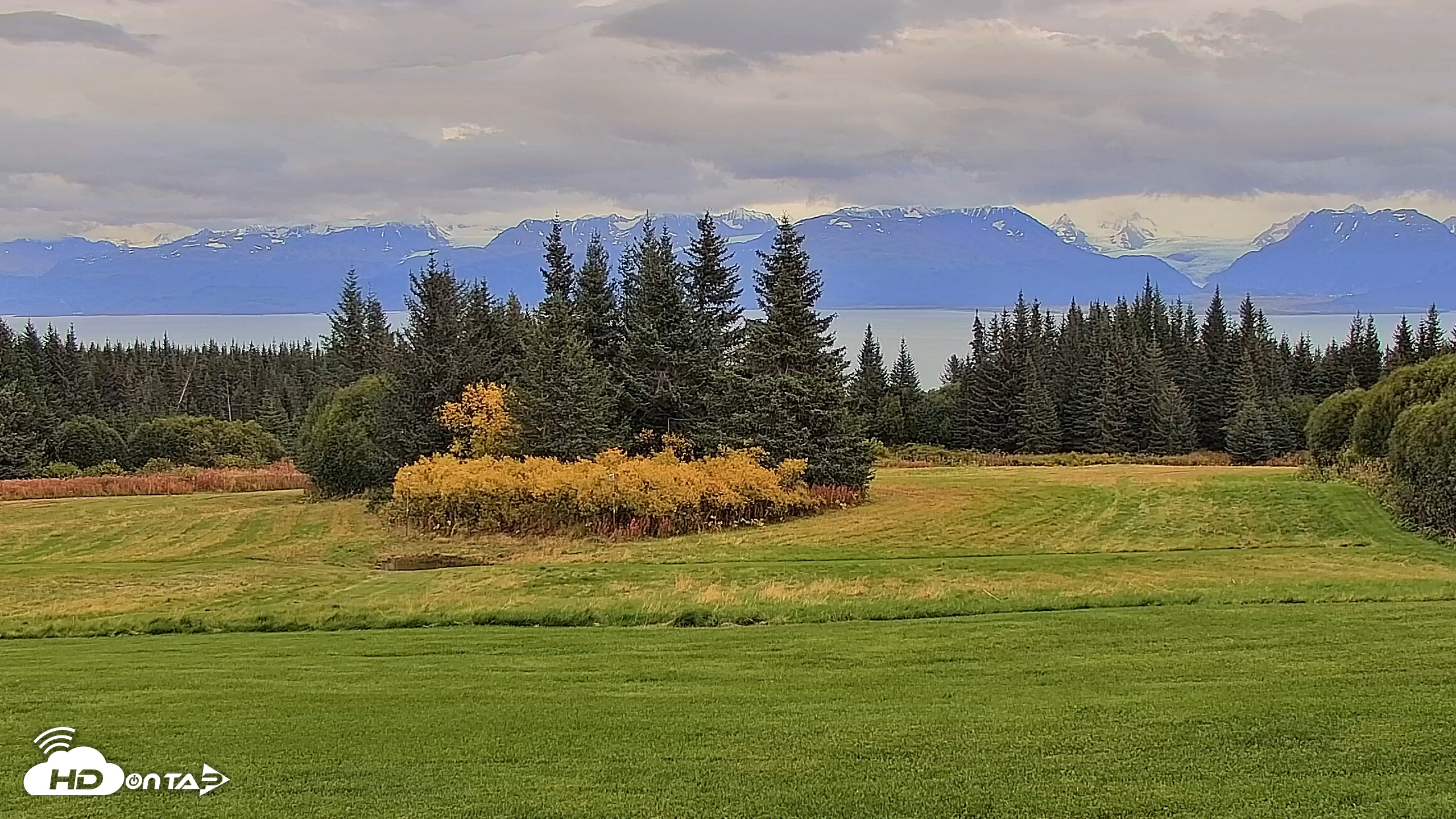 Snapshot of Inspiration Ridge - Homer Alaska Live Webcam taken Sep 24, 2025, 3:30pm AKDT