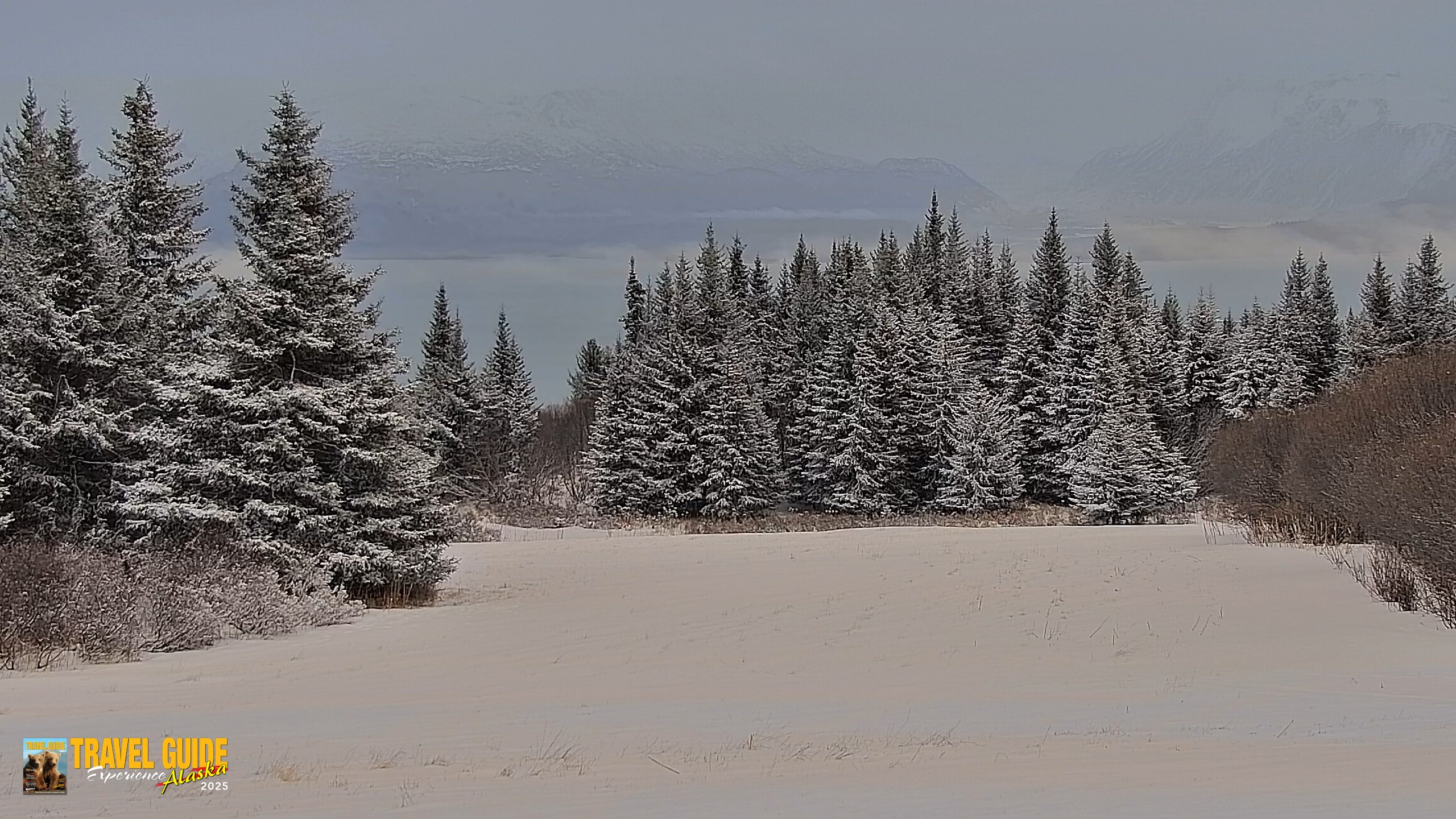 Snapshot of Inspiration Ridge - Homer Alaska Live Webcam taken Jan 5, 2026, 3:42pm AKST