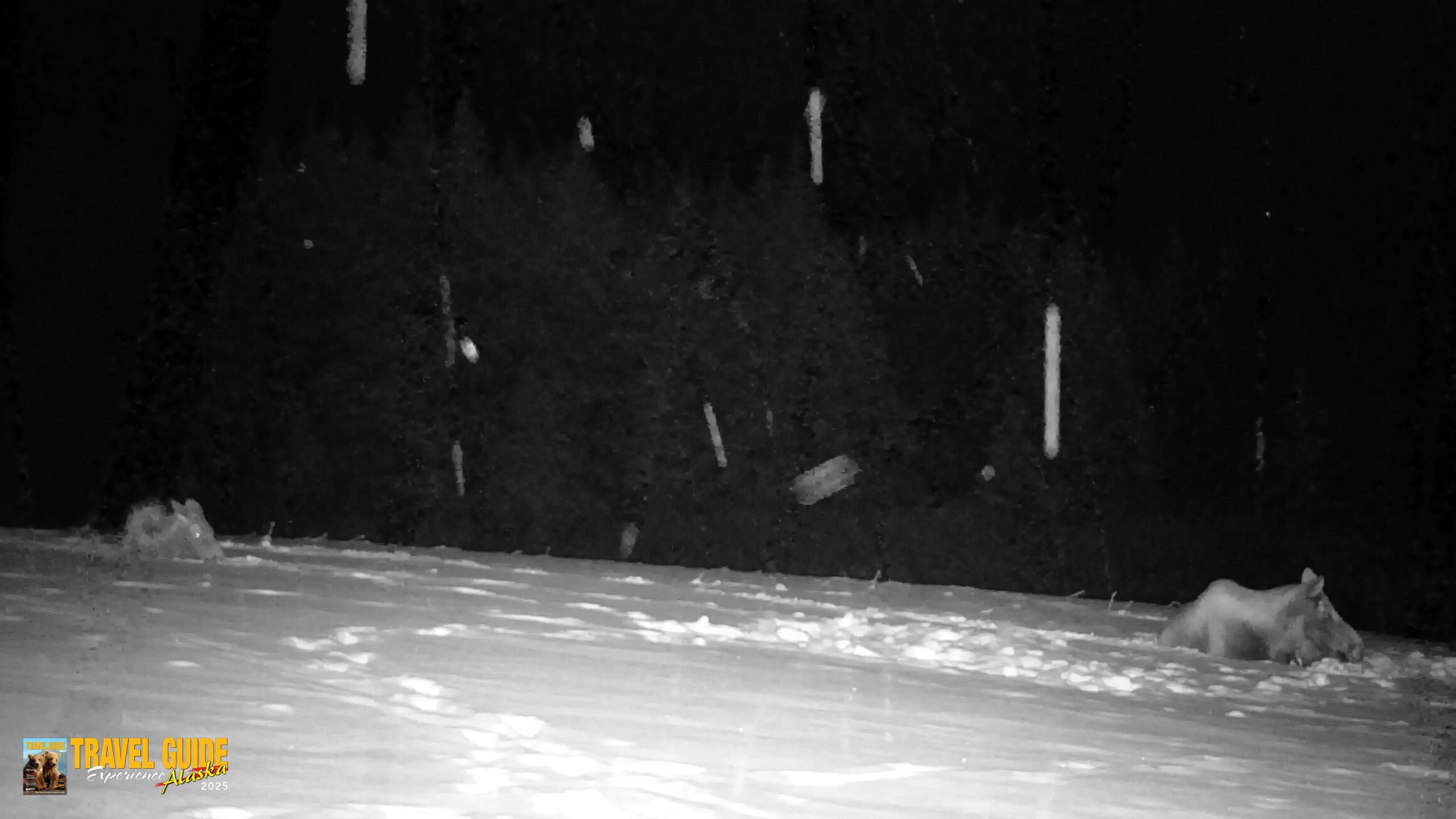 Snapshot of Inspiration Ridge - Homer Alaska Live Webcam taken Jan 13, 2026, 11:56pm AKST