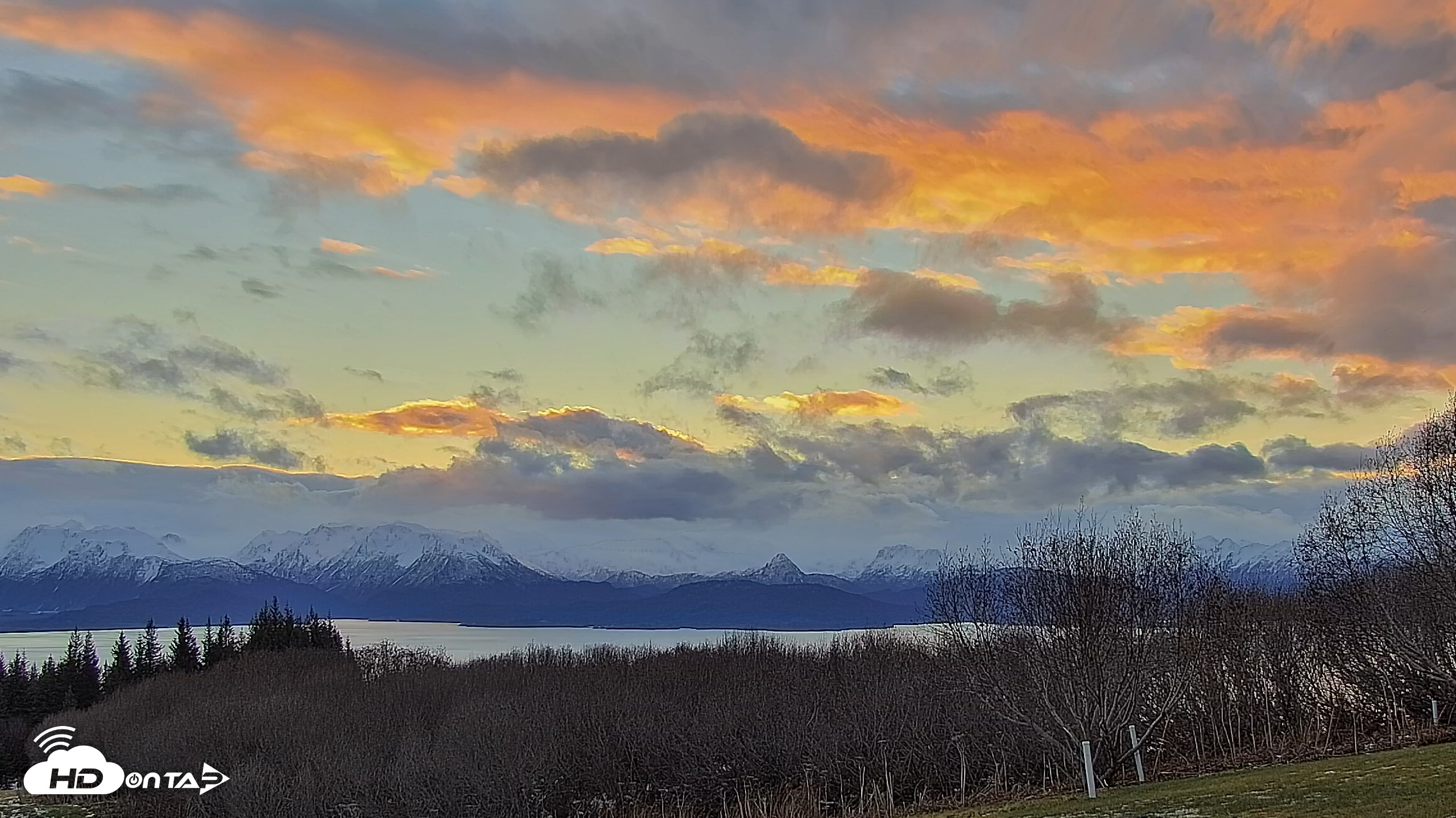 Snapshot of Inspiration Ridge - Homer Alaska Live Webcam taken Dec 2, 2025, 10:01am AKST