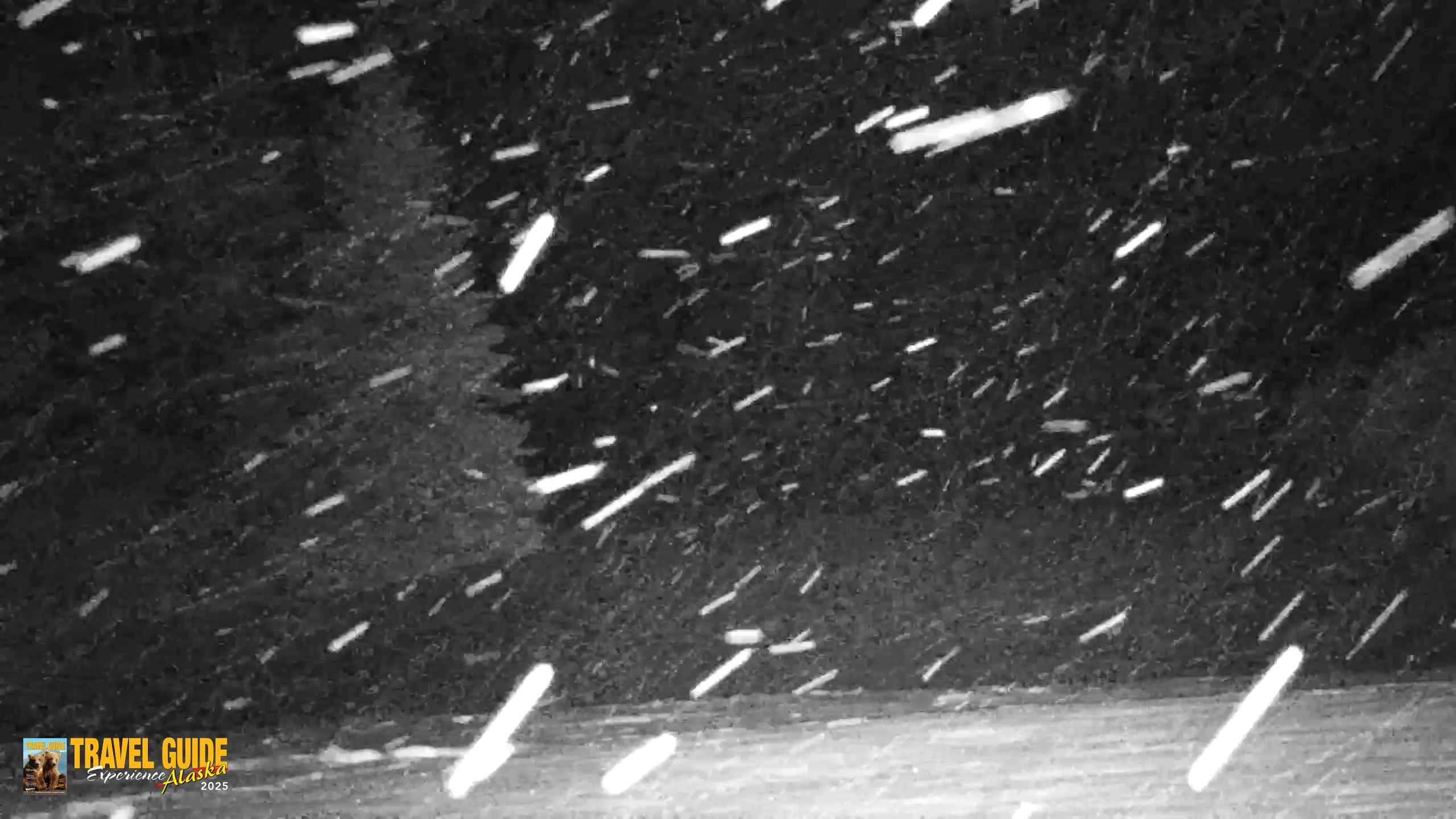 Snapshot of Inspiration Ridge - Homer Alaska Live Webcam taken Jan 13, 2026, 4:09am AKST