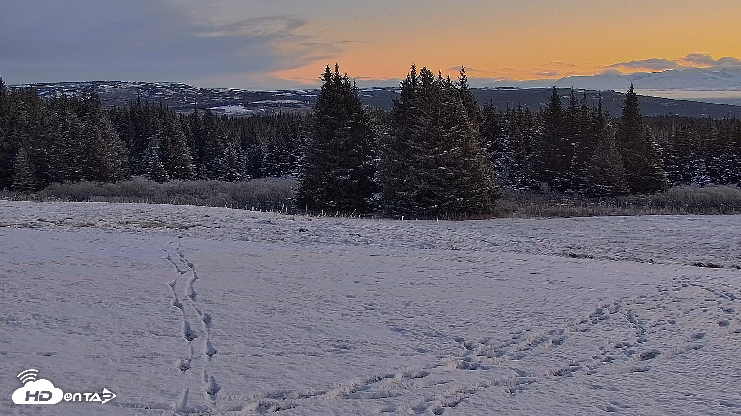 Snapshot of Inspiration Ridge - Homer Alaska Live Webcam taken Nov 8, 2025, 10:52am AKST