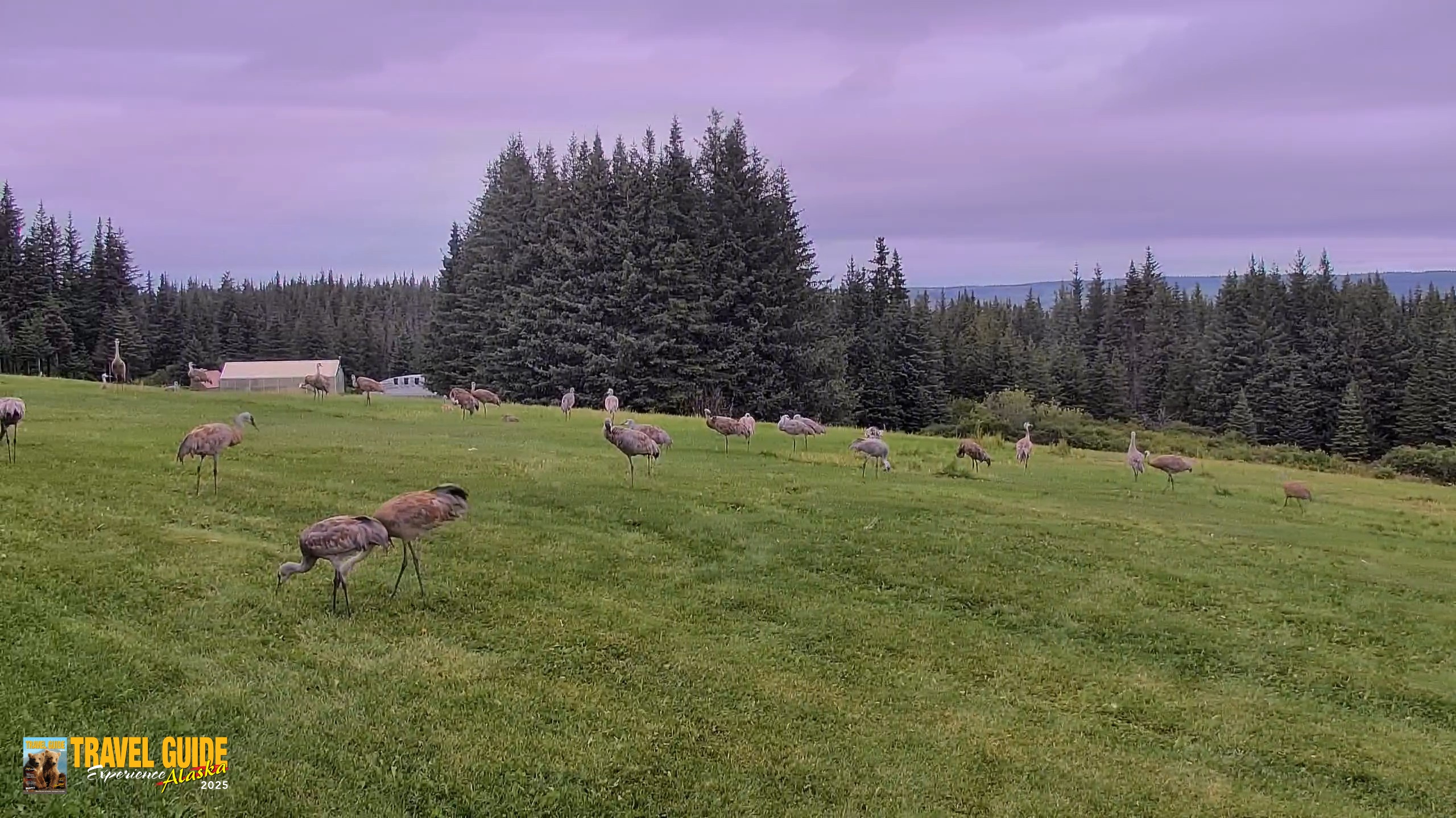 Snapshot of Inspiration Ridge - Homer Alaska Live Webcam taken Aug 28, 2026, 3:52pm AKDT