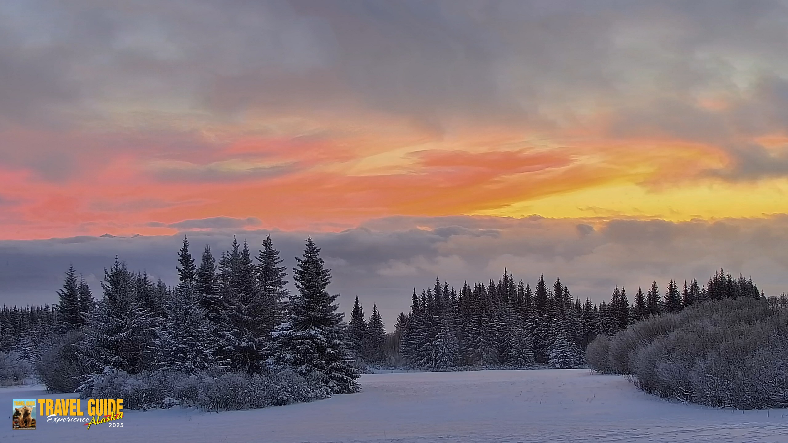 Snapshot of Inspiration Ridge - Homer Alaska Live Webcam taken Jan 14, 2026, 9:43am AKST