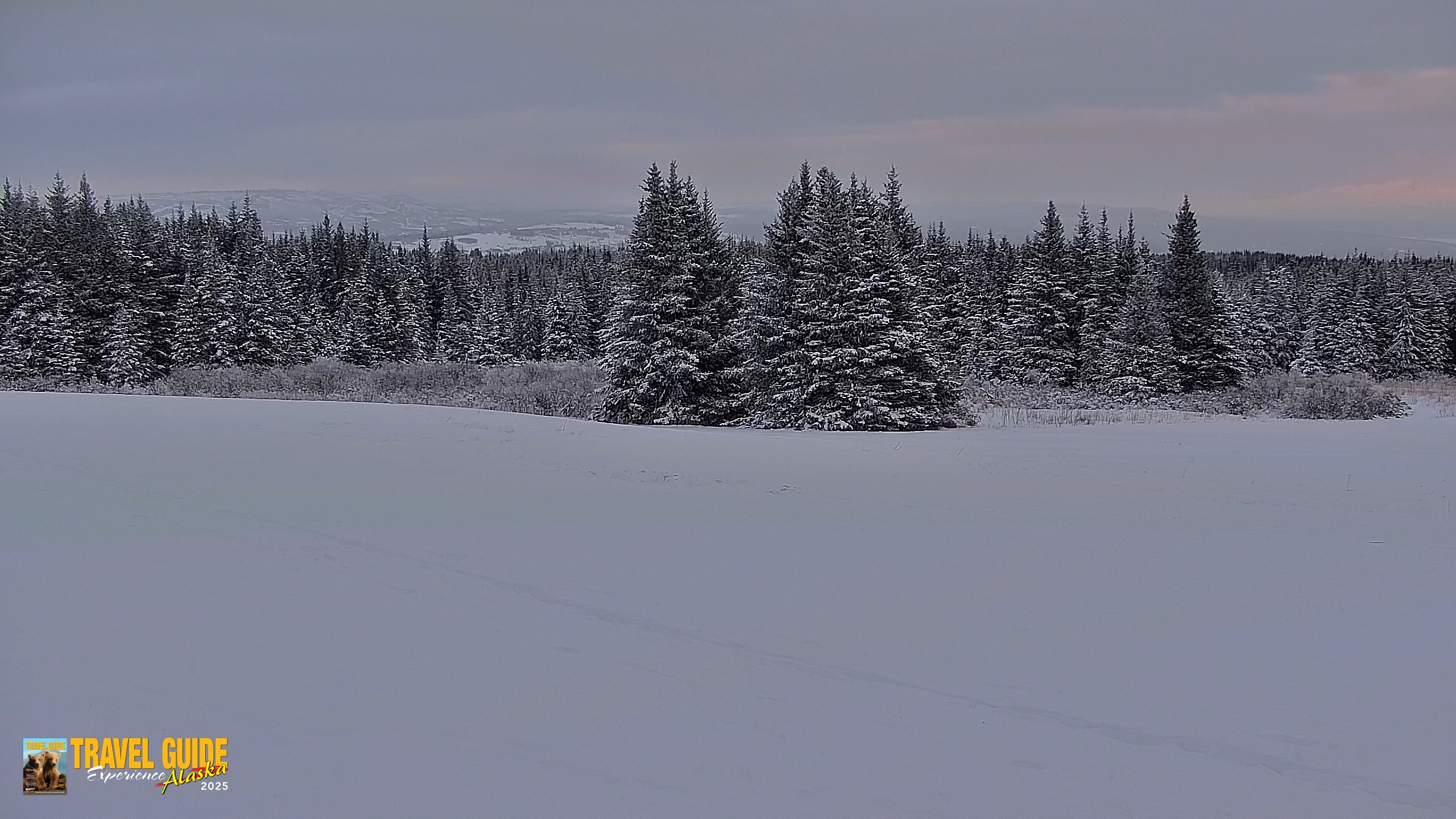 Snapshot of Inspiration Ridge - Homer Alaska Live Webcam taken Jan 14, 2026, 4:14pm AKST