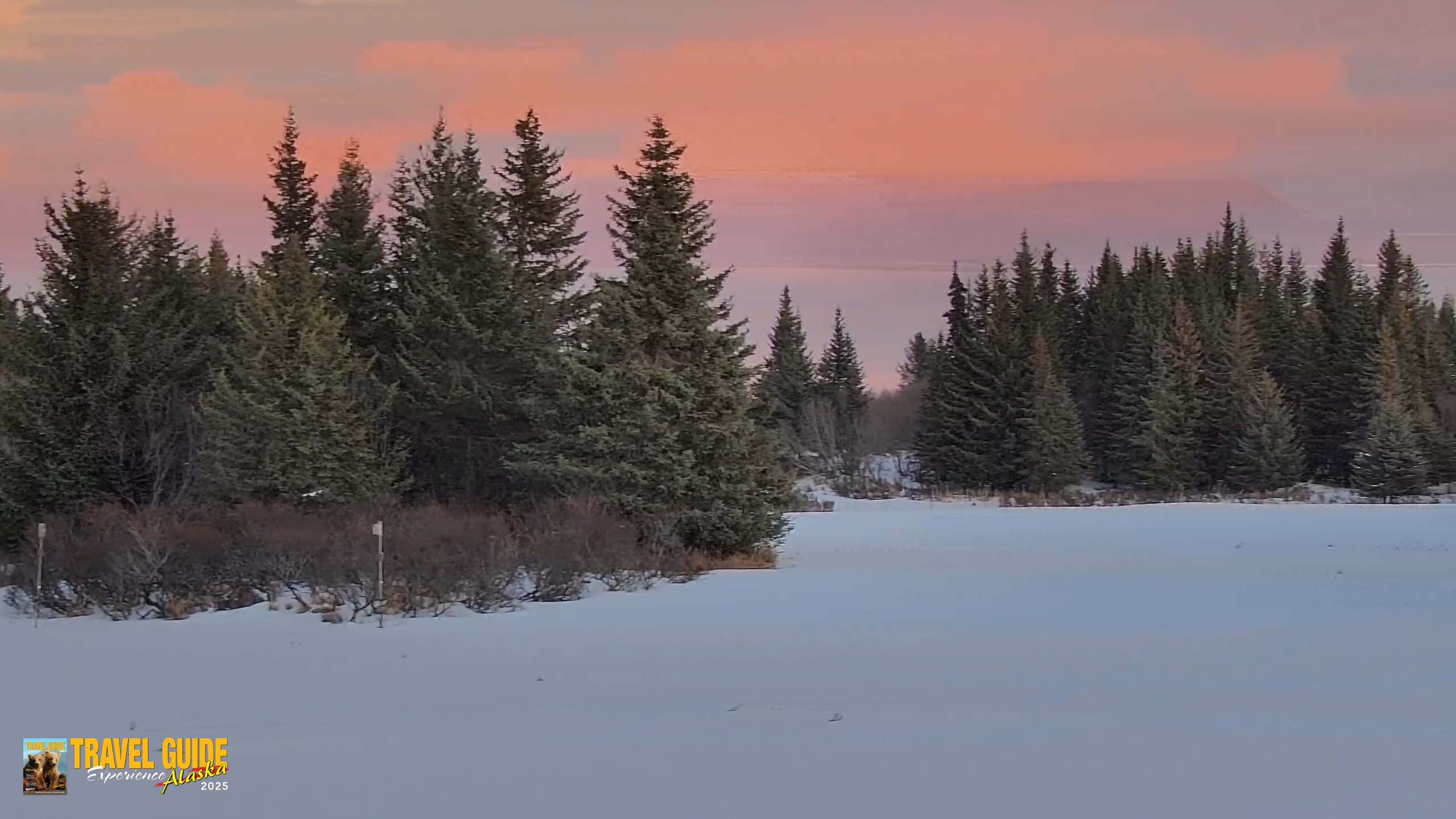 Snapshot of Inspiration Ridge - Homer Alaska Live Webcam taken Feb 14, 2026, 5:50pm AKST