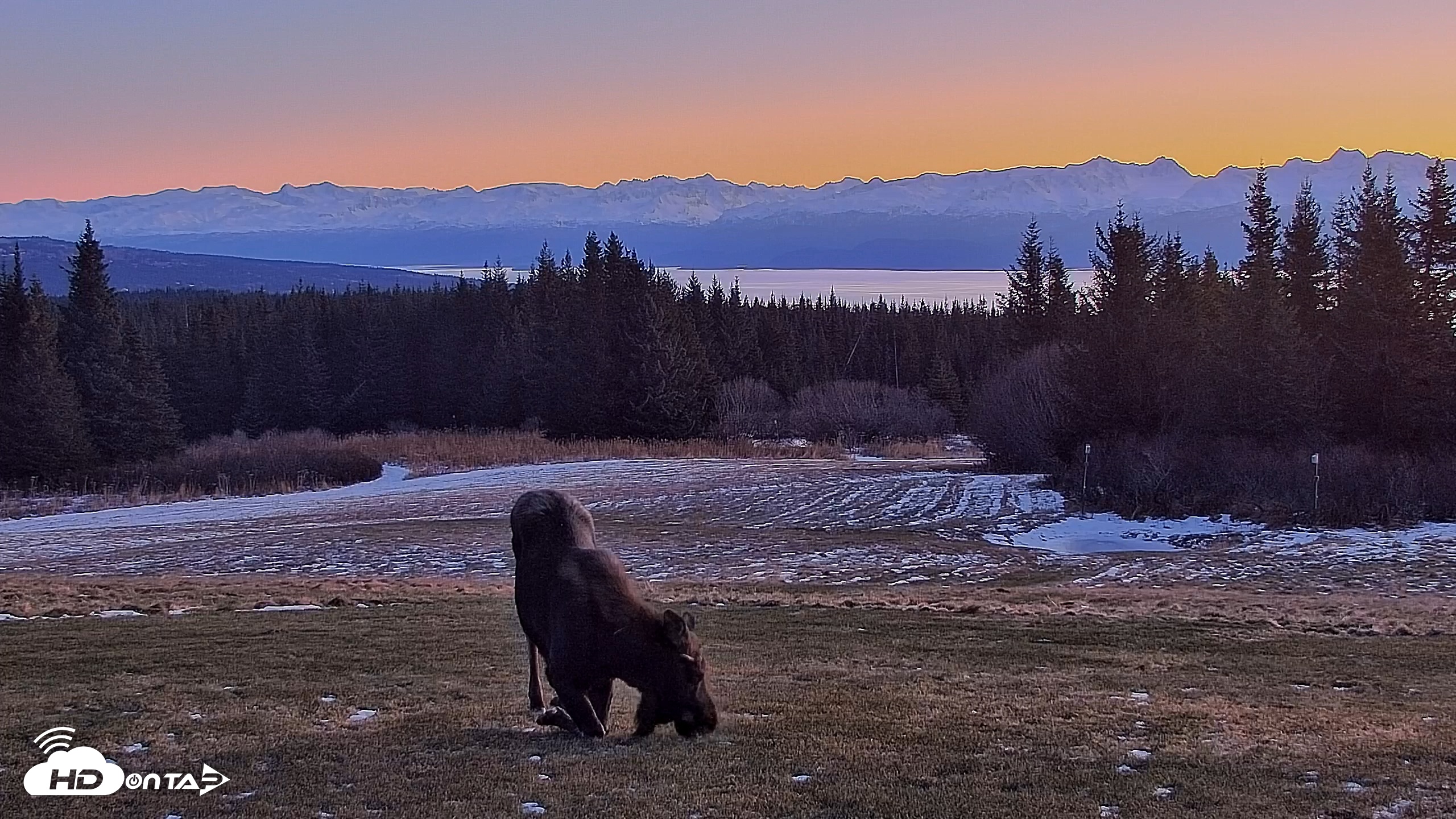 Snapshot of Inspiration Ridge - Homer Alaska Live Webcam taken Dec 12, 2025, 9:16am AKST