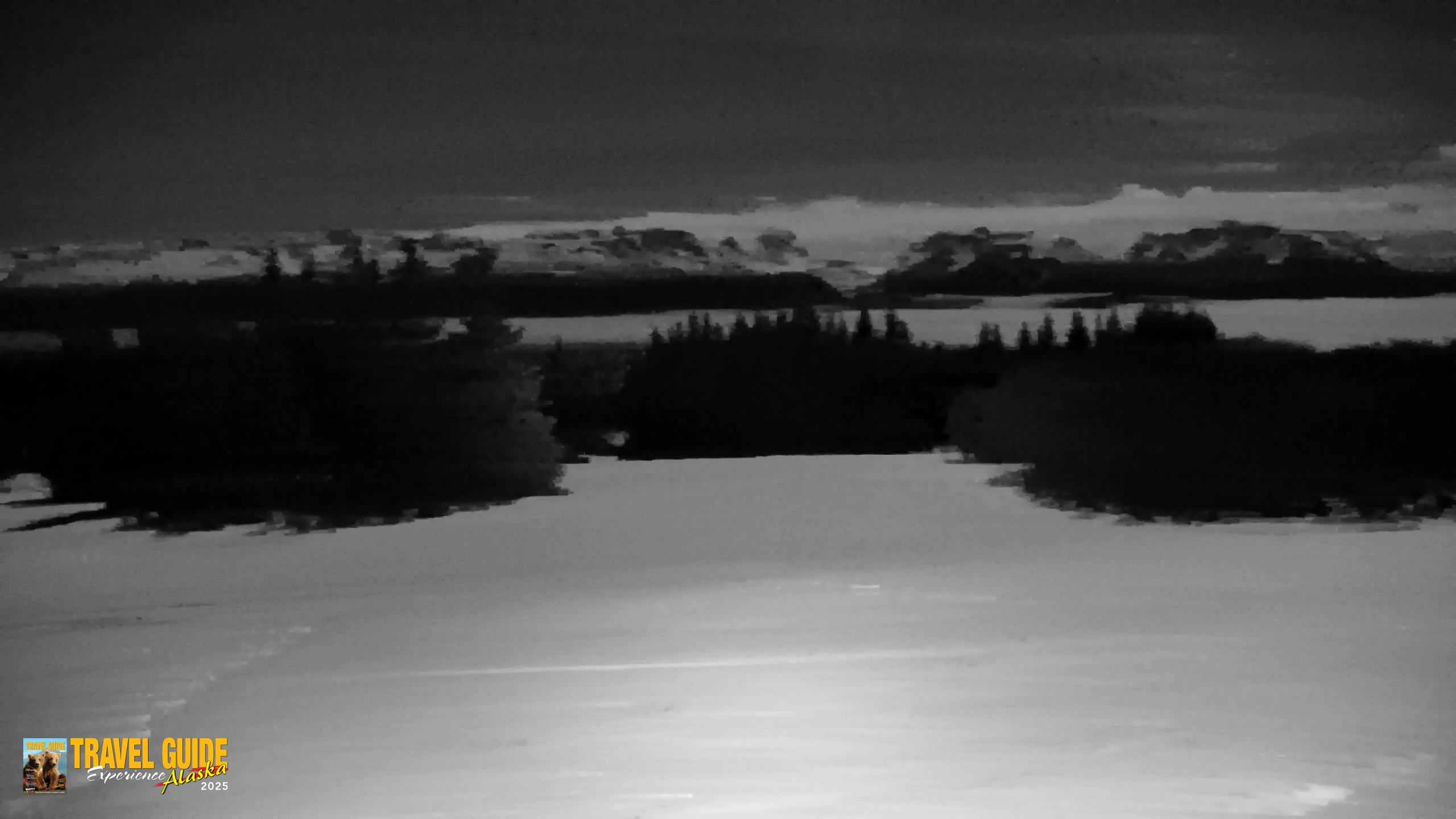 Snapshot of Inspiration Ridge - Homer Alaska Live Webcam taken Jan 31, 2026, 10:33pm AKST