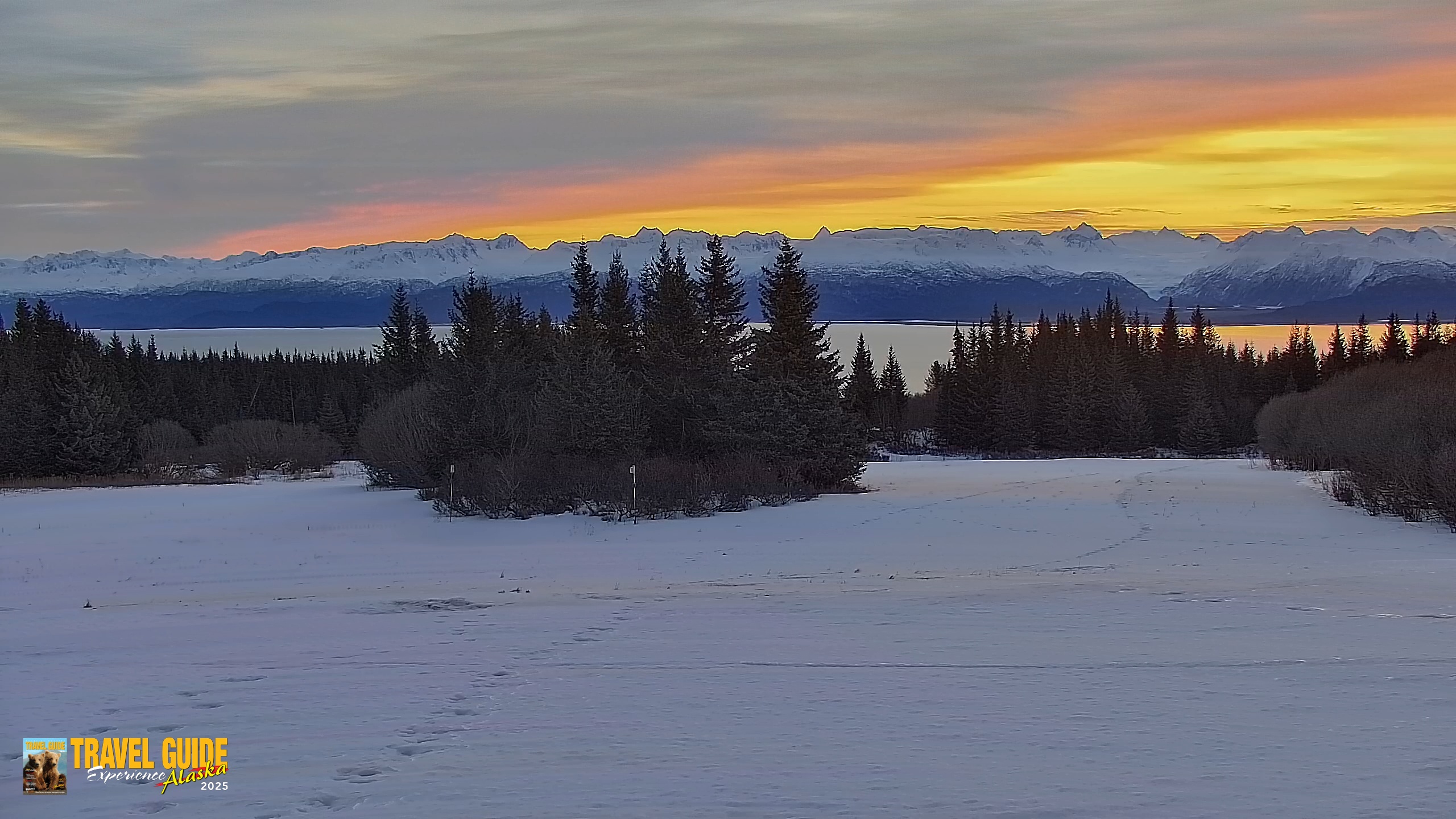 Snapshot of Inspiration Ridge - Homer Alaska Live Webcam taken Feb 1, 2026, 12:05pm AKST