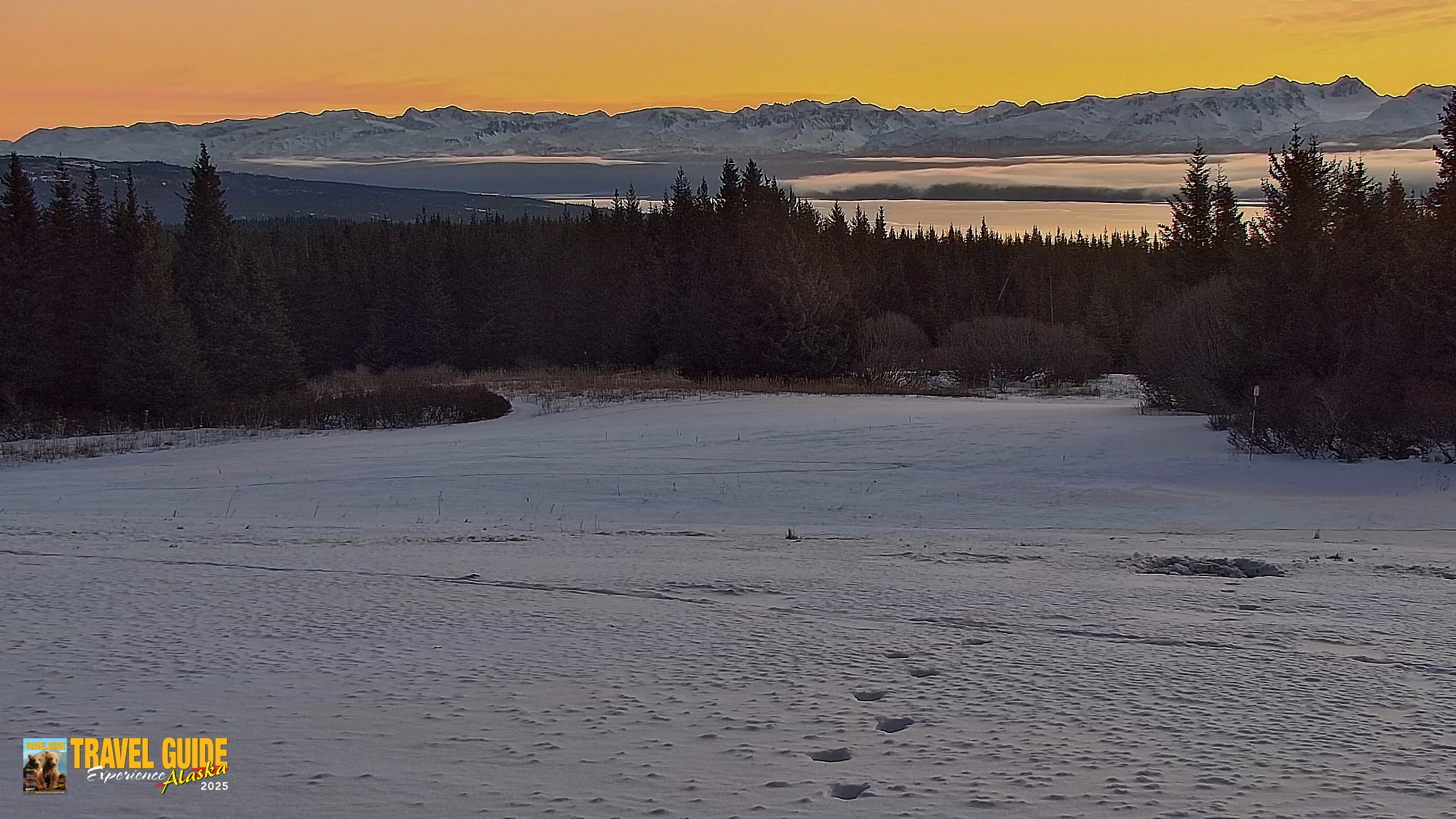 Snapshot of Inspiration Ridge - Homer Alaska Live Webcam taken Jan 23, 2026, 10:16am AKST