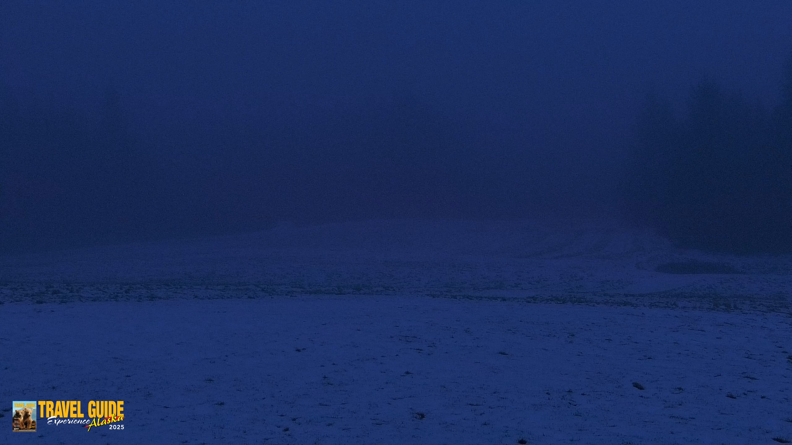Snapshot of Inspiration Ridge - Homer Alaska Live Webcam taken May 10, 2026, 5:00am AKDT