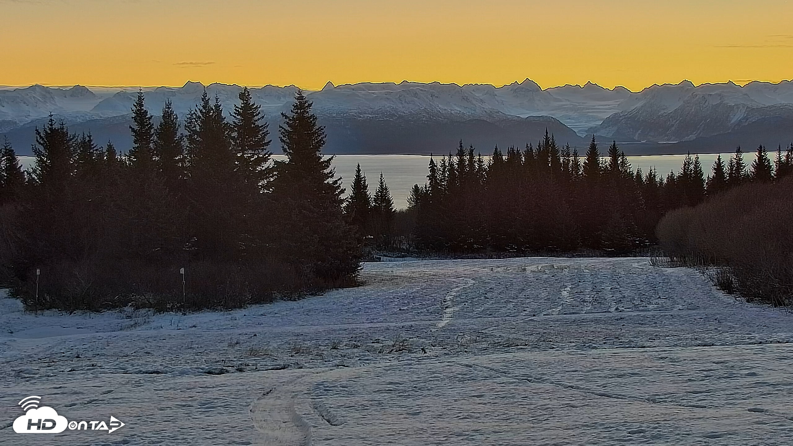 Snapshot of Inspiration Ridge - Homer Alaska Live Webcam taken Nov 13, 2025, 9:22am AKST