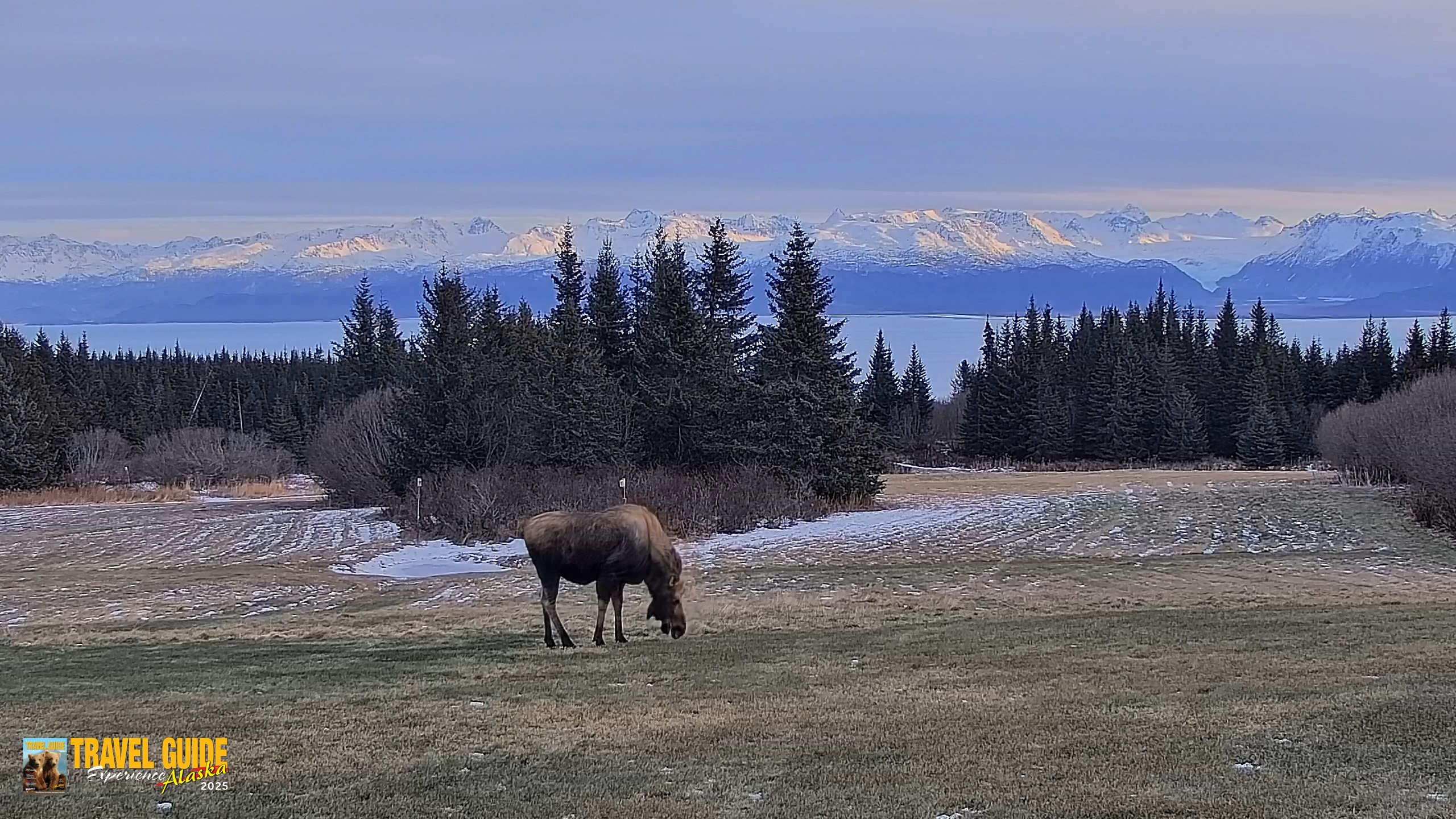 Snapshot of Inspiration Ridge - Homer Alaska Live Webcam taken Dec 22, 2025, 2:19pm AKST