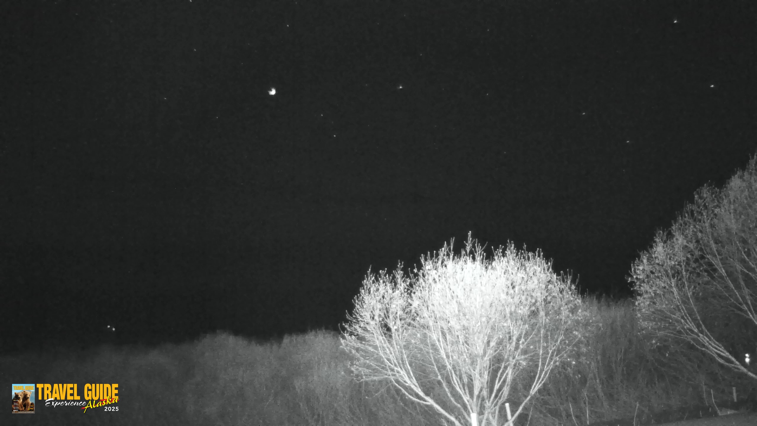 Snapshot of Inspiration Ridge - Homer Alaska Live Webcam taken Jan 18, 2026, 10:12pm AKST