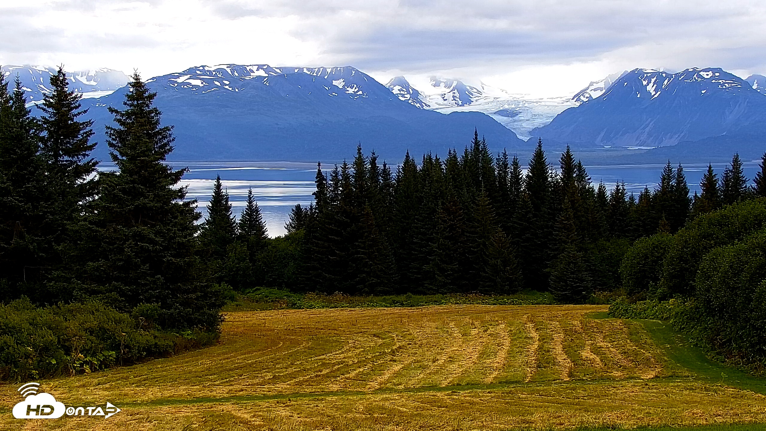 Snapshot of Inspiration Ridge - Homer Alaska Live Webcam taken Aug 21, 2025, 8:30am AKDT
