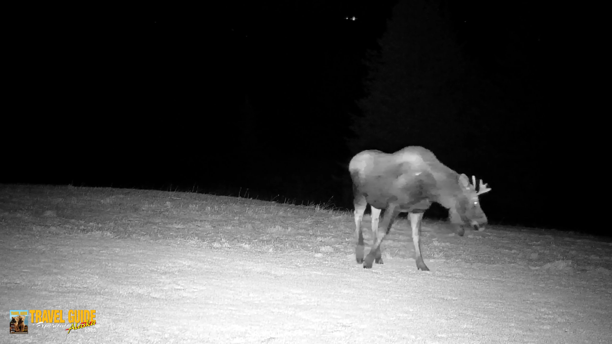 Snapshot of Inspiration Ridge - Homer Alaska Live Webcam taken Dec 22, 2025, 10:22pm AKST