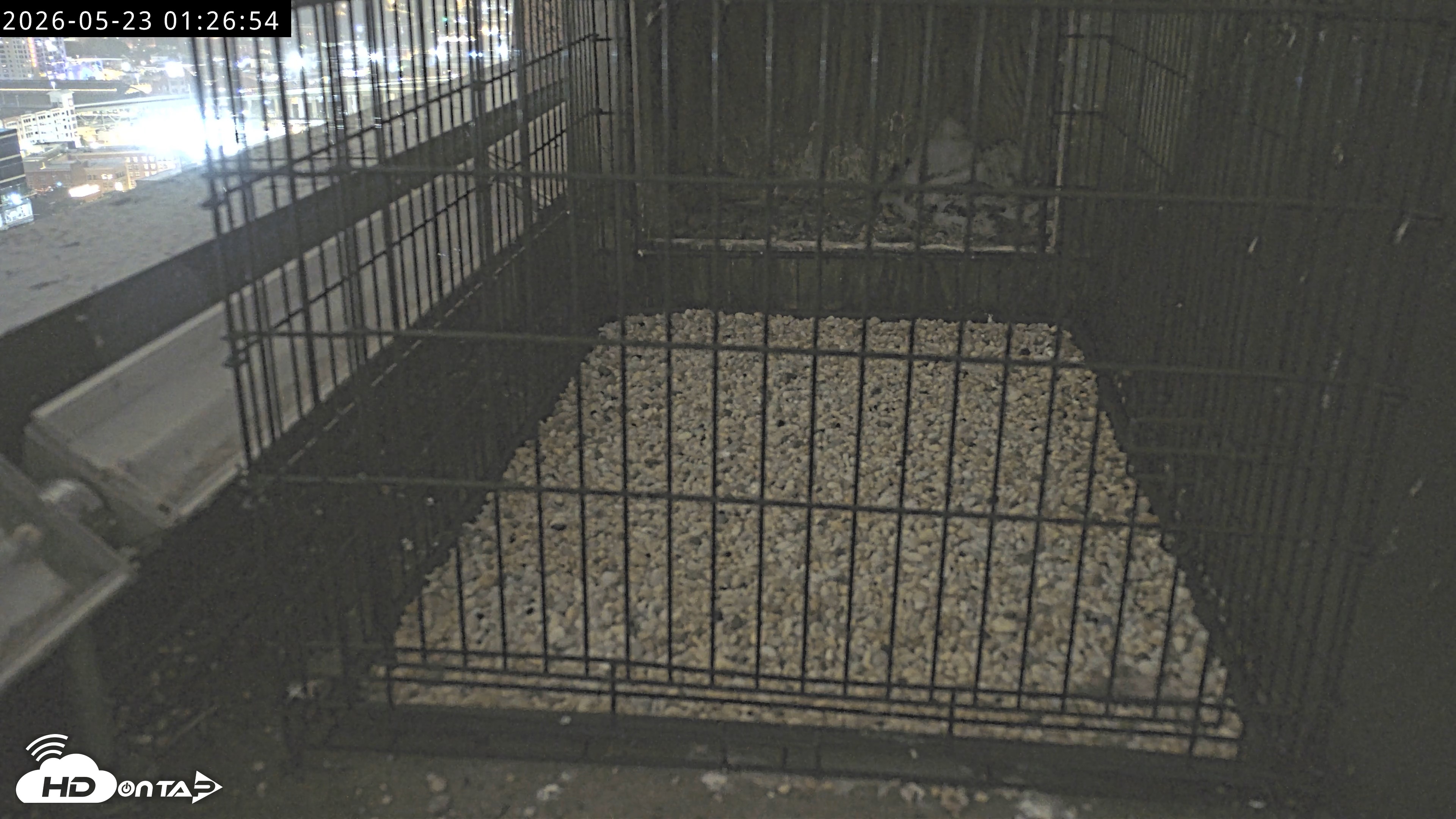 Snapshot of Richmond Virginia Peregrine Falcon Live Cam taken May 23, 2026, 1:28am EDT