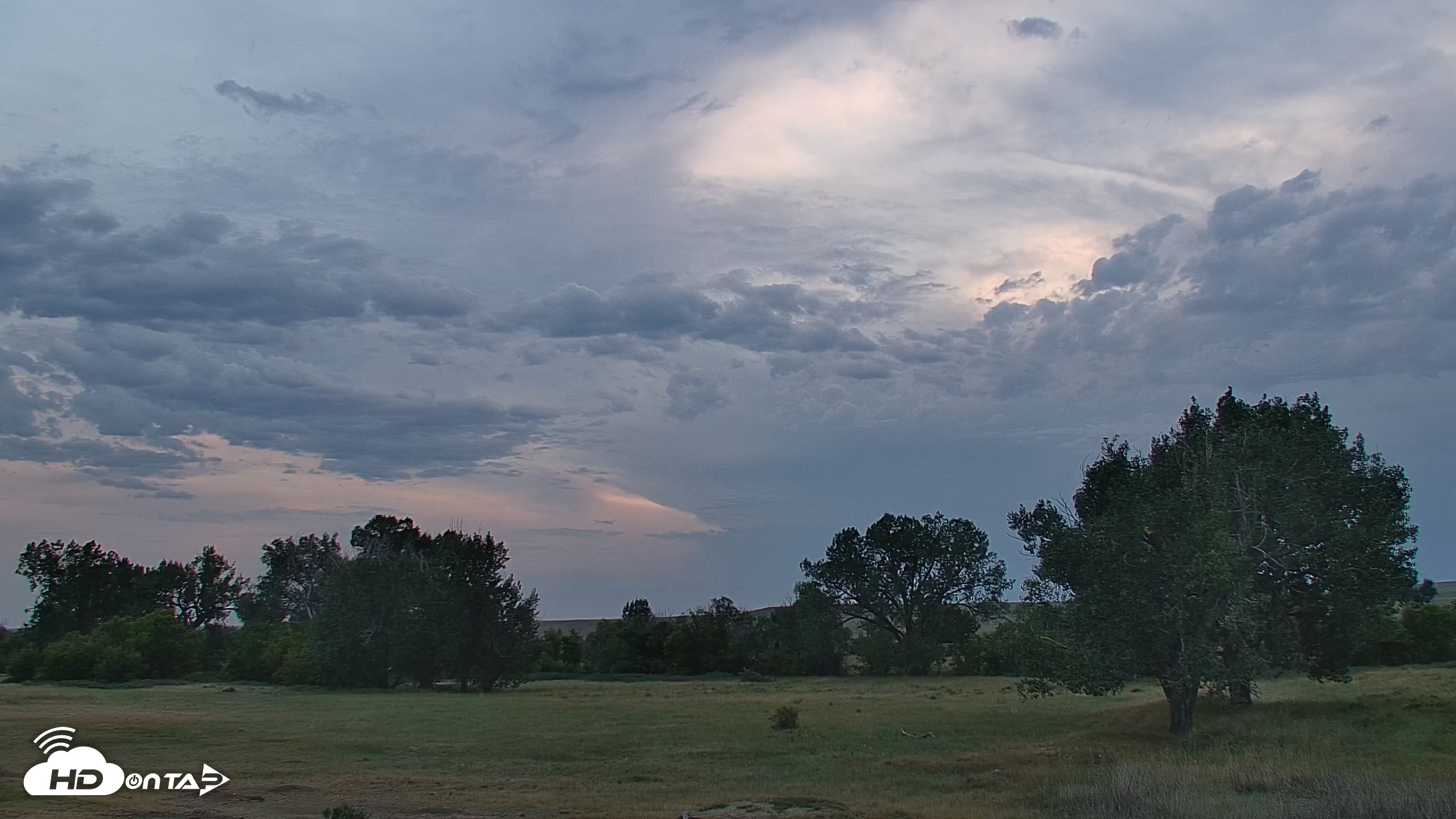 Snapshot of Montana Grasslands Bison Live Webcam taken Aug 27, 2026, 7:58pm MDT