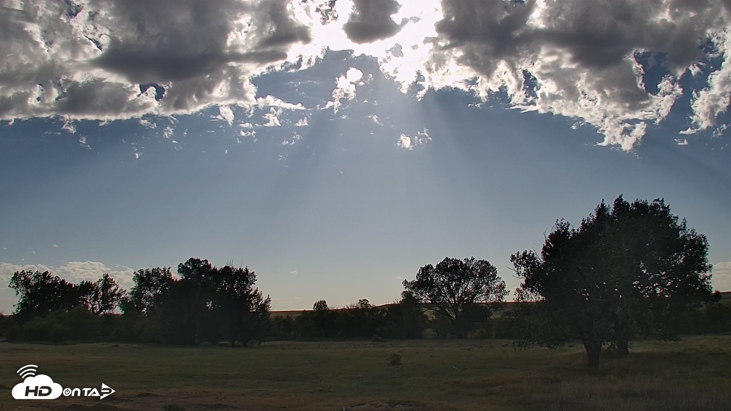 Snapshot of Montana Grasslands Bison Live Webcam taken Sep 13, 2026, 5:04pm MDT