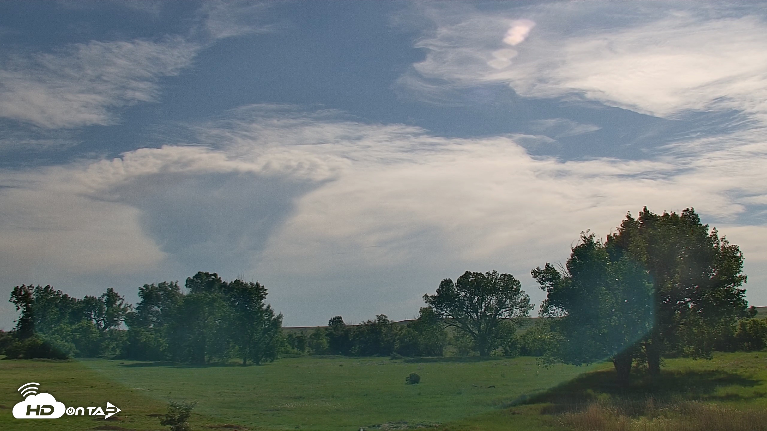 Snapshot of Montana Grasslands Bison Live Webcam taken Jul 8, 2026, 5:35pm MDT