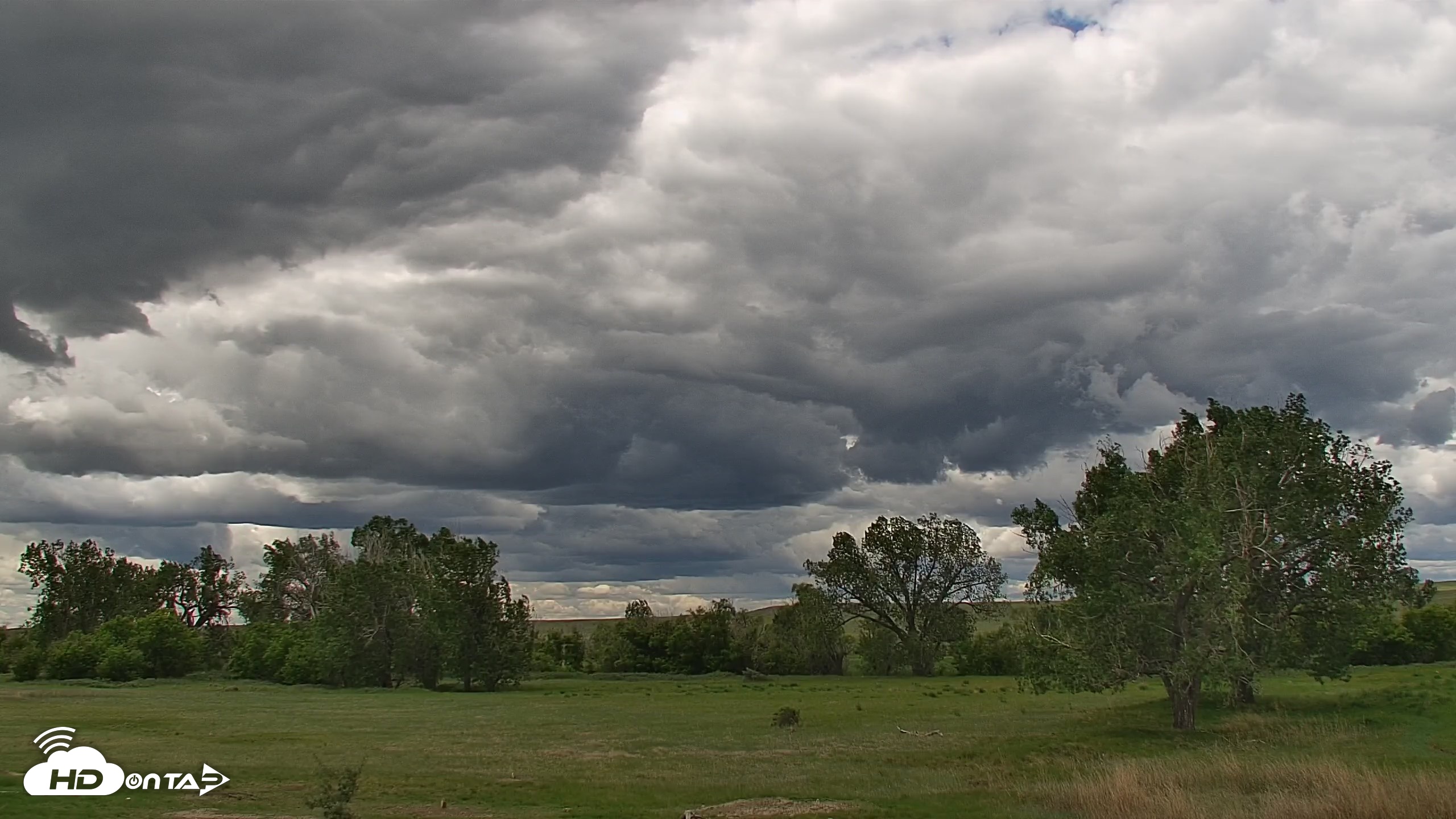 Snapshot of Montana Grasslands Bison Live Webcam taken Jun 17, 2026, 12:47pm MDT