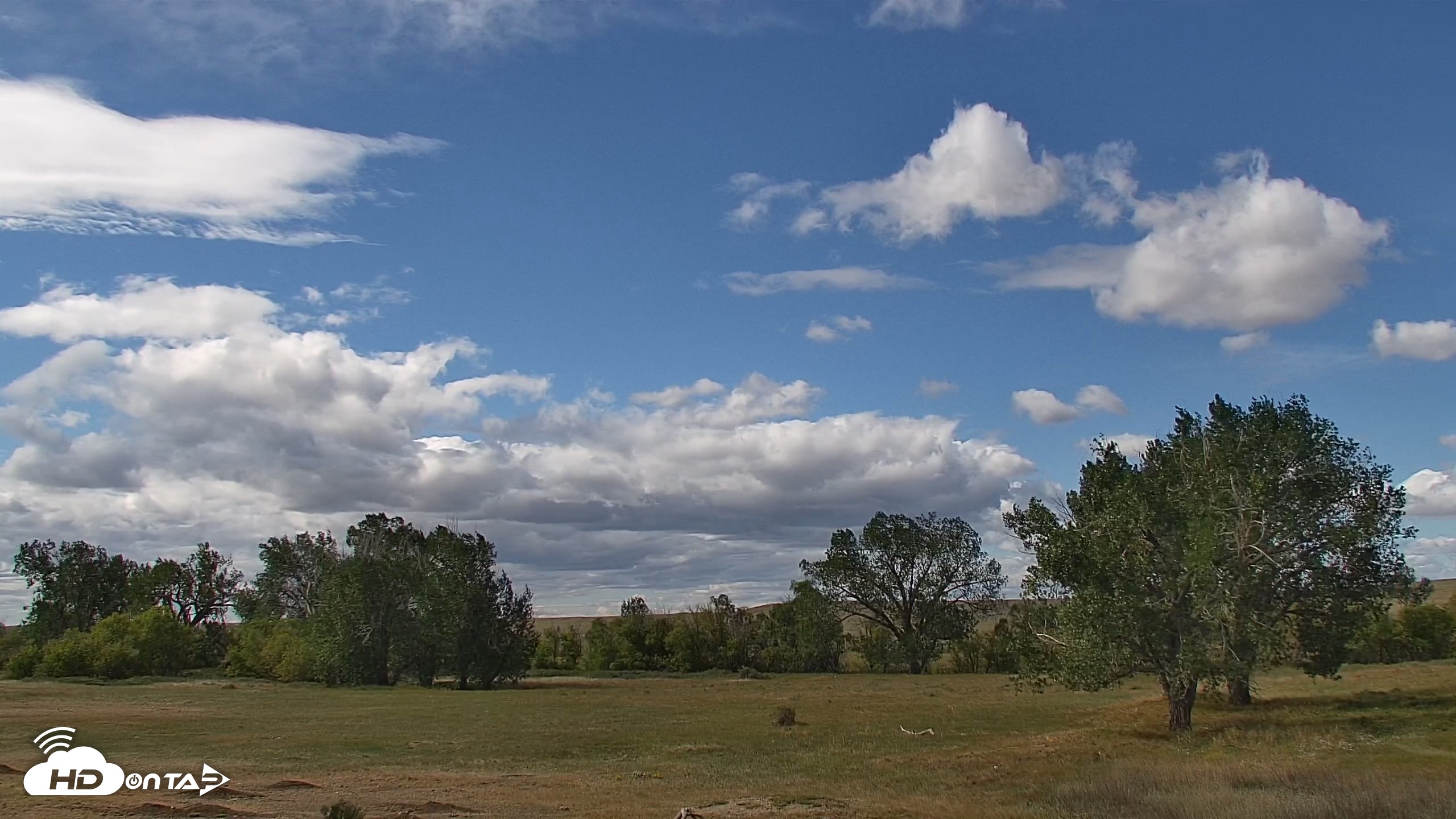 Snapshot of Montana Grasslands Bison Live Webcam taken Sep 14, 2026, 12:26pm MDT