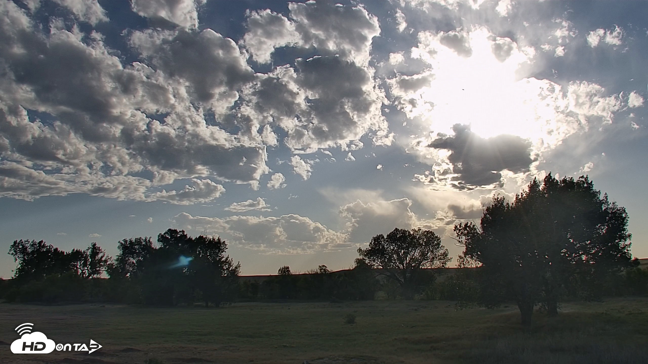Snapshot of Montana Grasslands Bison Live Webcam taken Sep 13, 2026, 6:01pm MDT