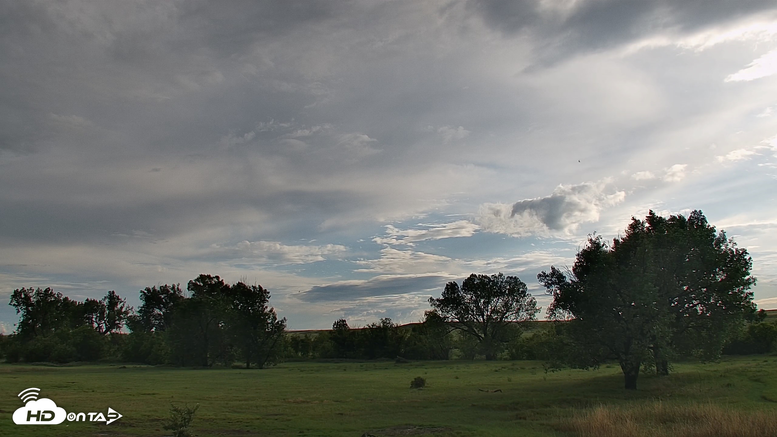 Snapshot of Montana Grasslands Bison Live Webcam taken Jun 22, 2026, 7:27pm MDT