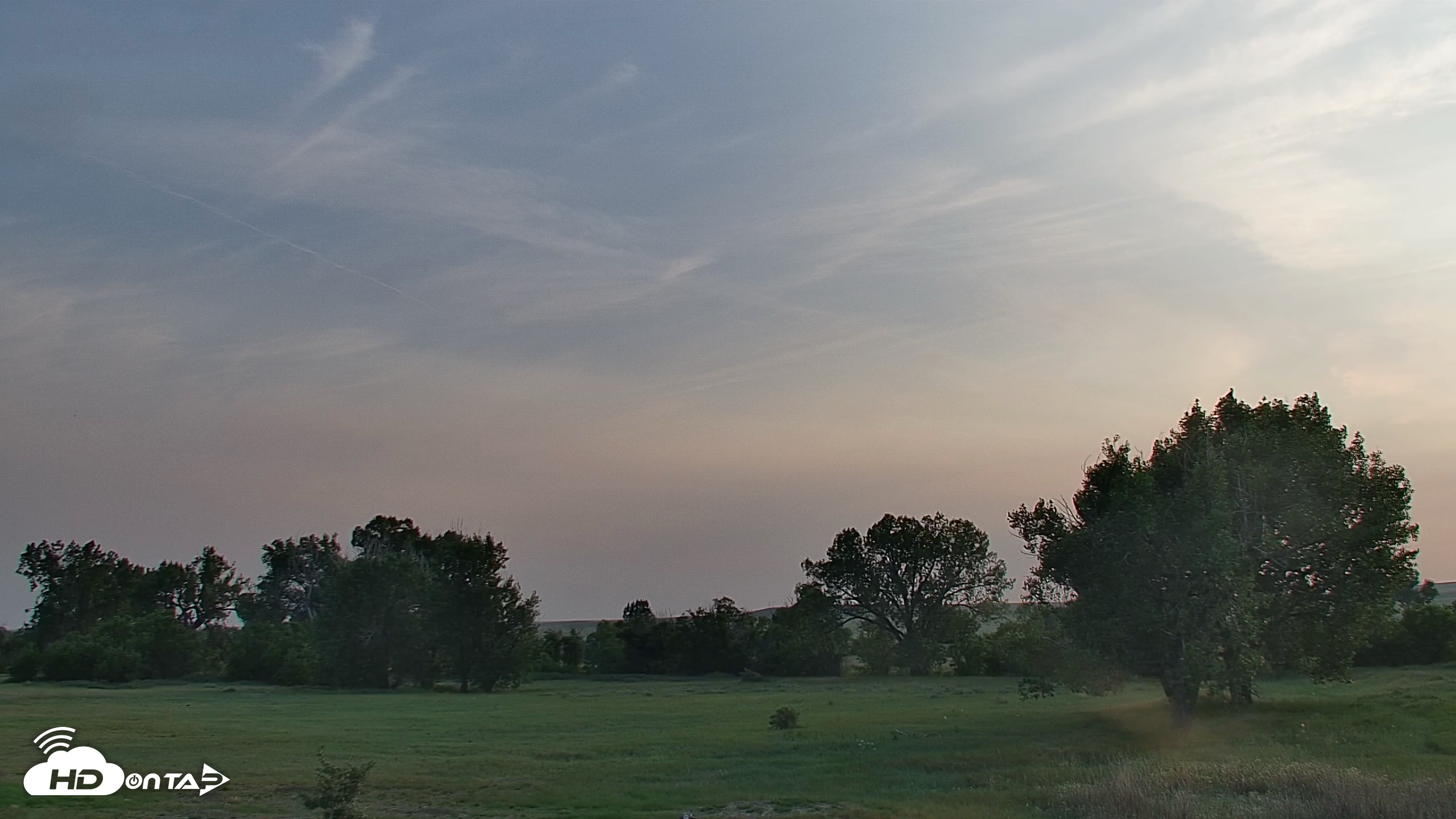 Snapshot of Montana Grasslands Bison Live Webcam taken Jul 22, 2026, 8:04pm MDT