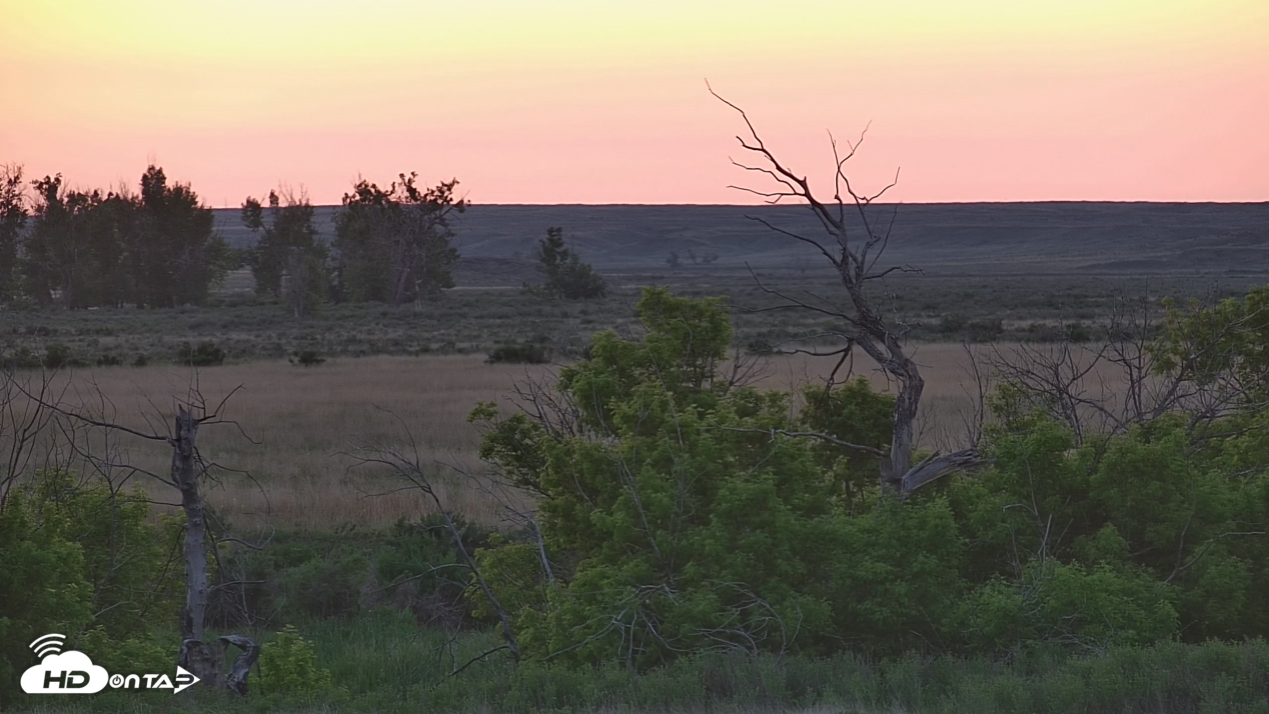 Snapshot of Montana Grasslands Bison Live Webcam taken May 29, 2025, 9:01pm MDT