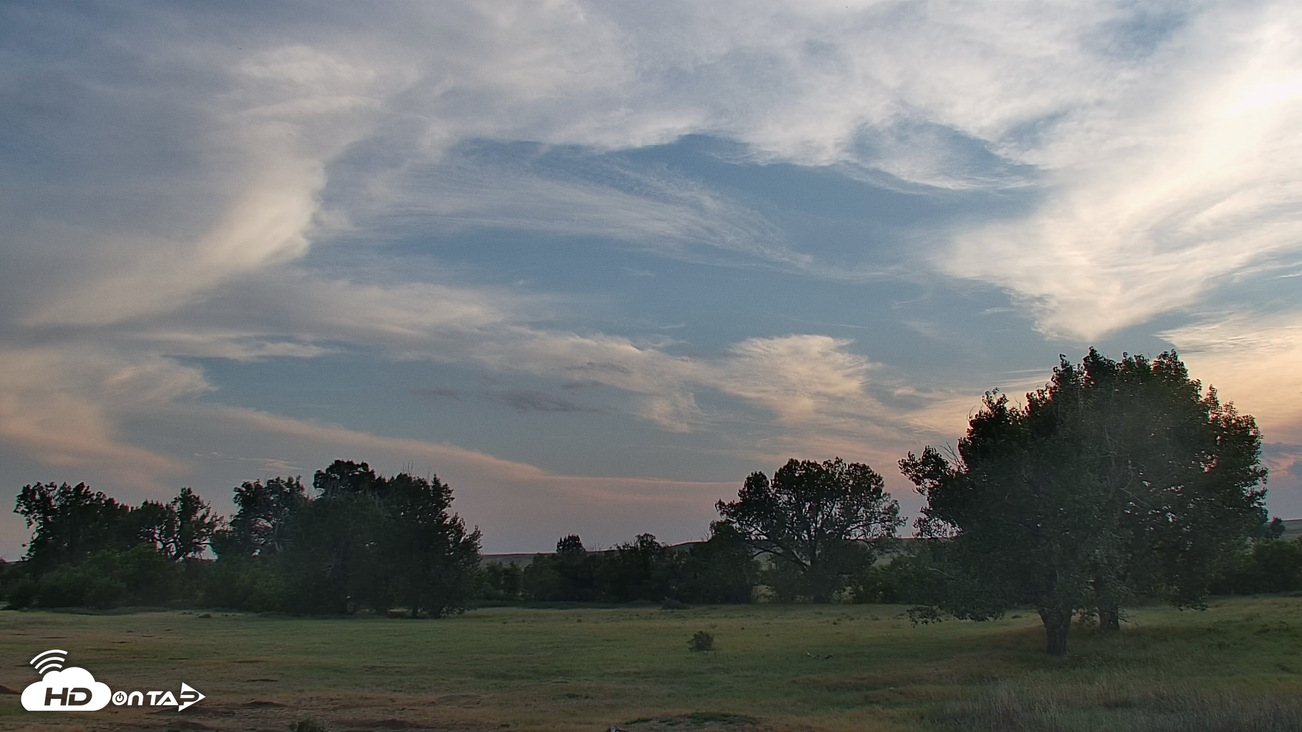 Snapshot of Montana Grasslands Bison Live Webcam taken Aug 15, 2026, 7:51pm MDT