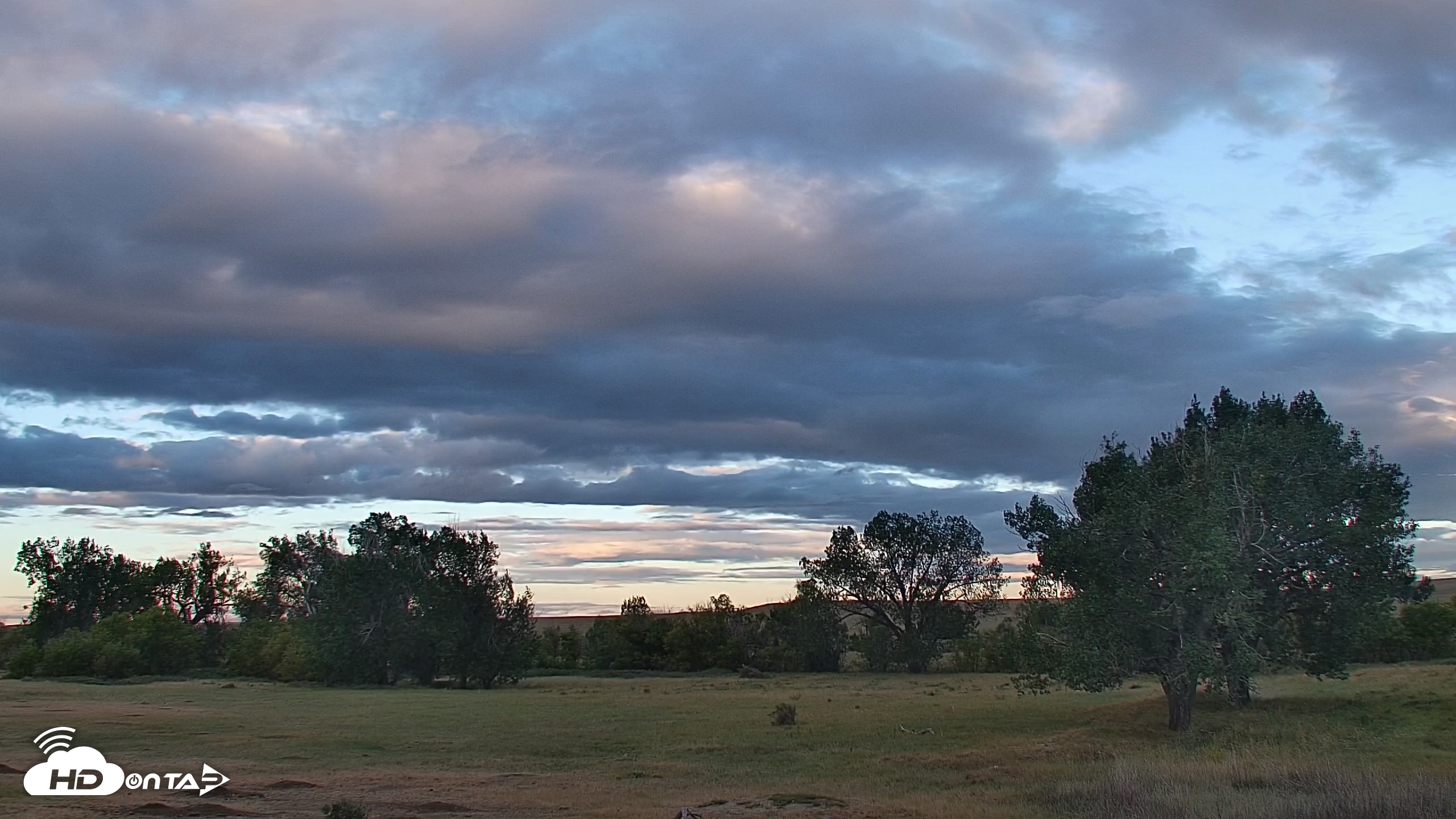 Snapshot of Montana Grasslands Bison Live Webcam taken Sep 8, 2026, 6:59am MDT
