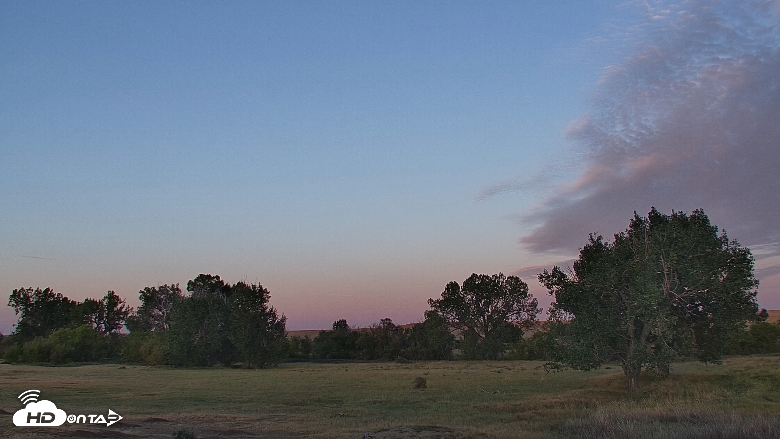 Snapshot of Montana Grasslands Bison Live Webcam taken Sep 16, 2026, 6:57am MDT