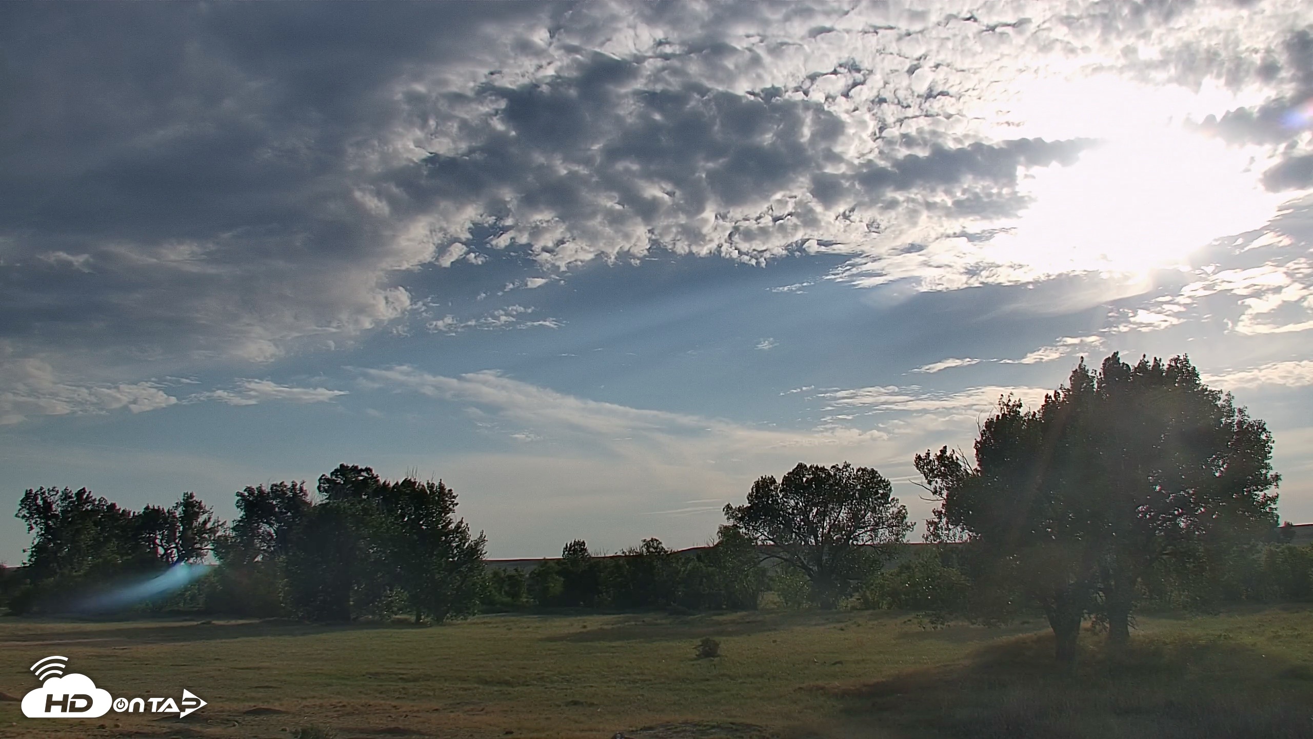 Snapshot of Montana Grasslands Bison Live Webcam taken Aug 28, 2026, 6:25pm MDT