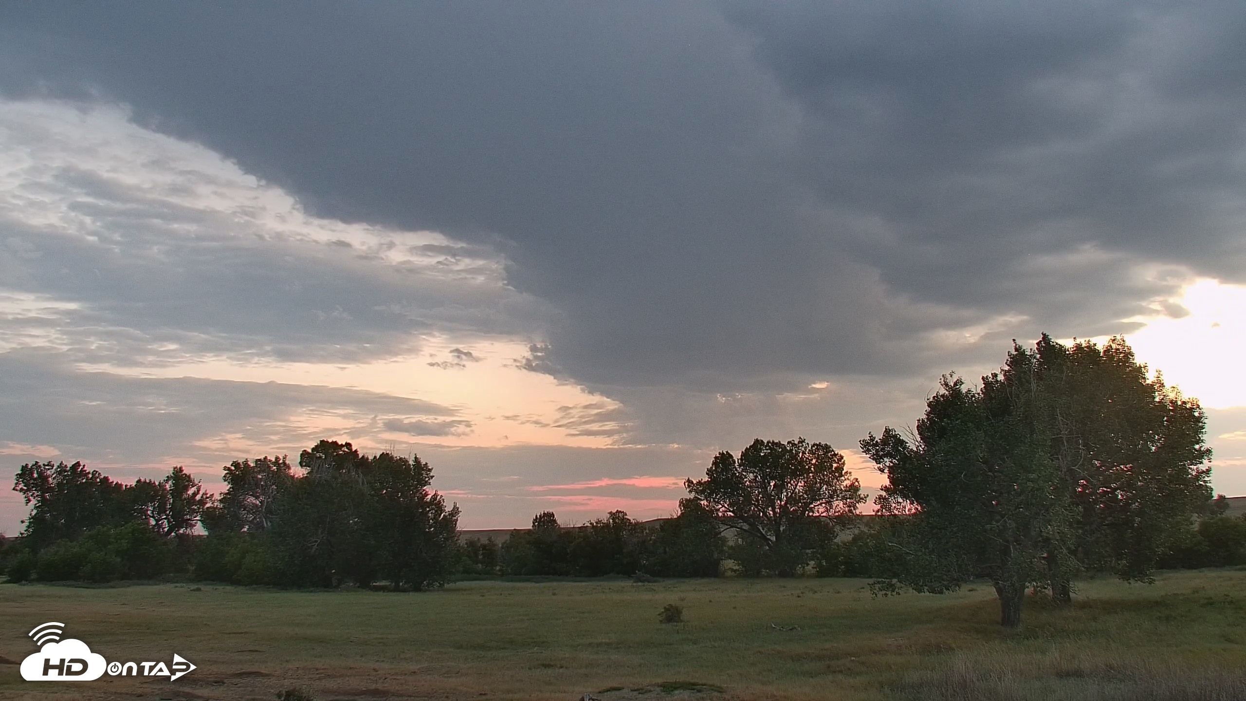 Snapshot of Montana Grasslands Bison Live Webcam taken Aug 16, 2026, 8:35pm MDT