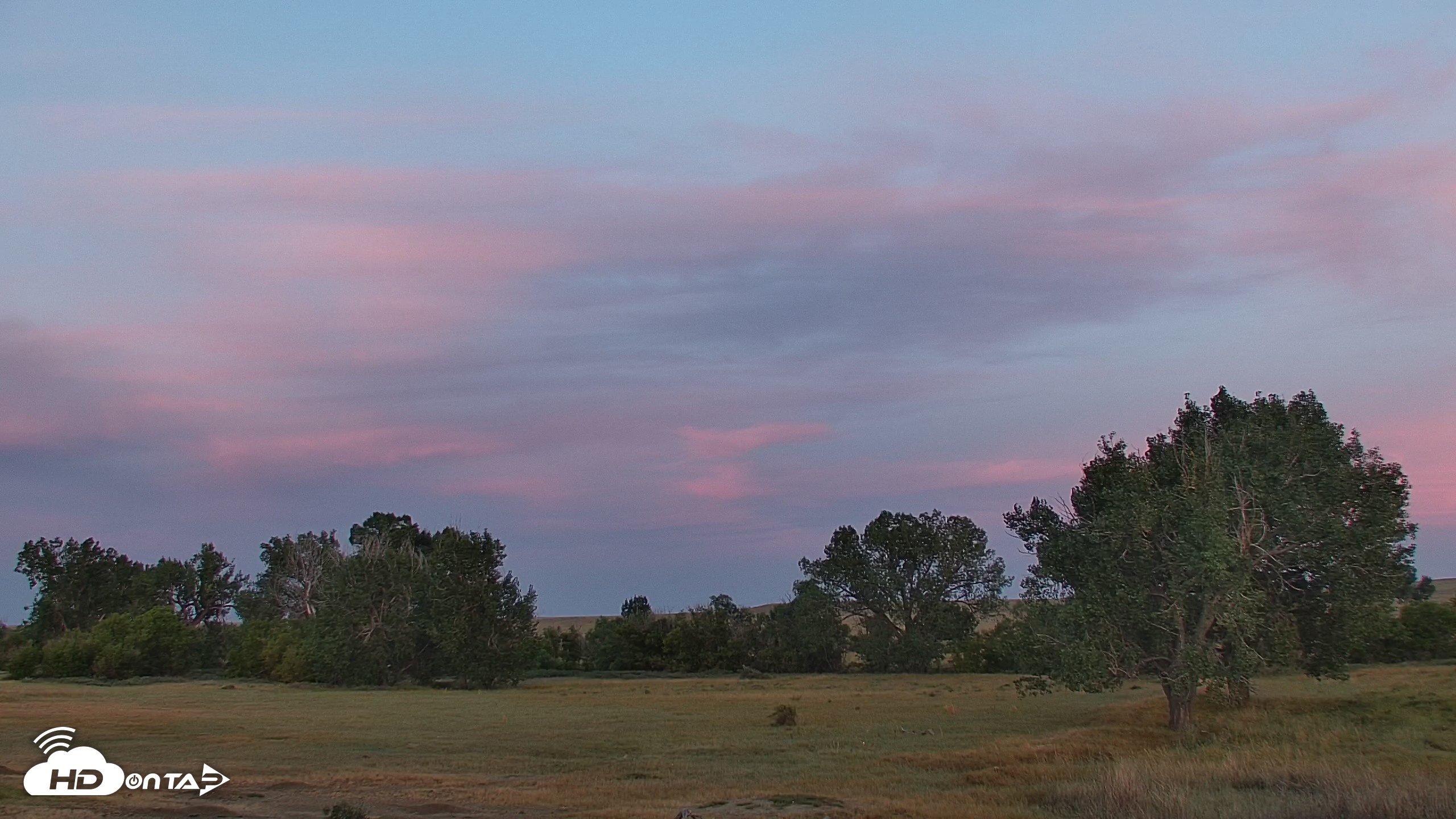 Snapshot of Montana Grasslands Bison Live Webcam taken Sep 1, 2026, 6:23am MDT