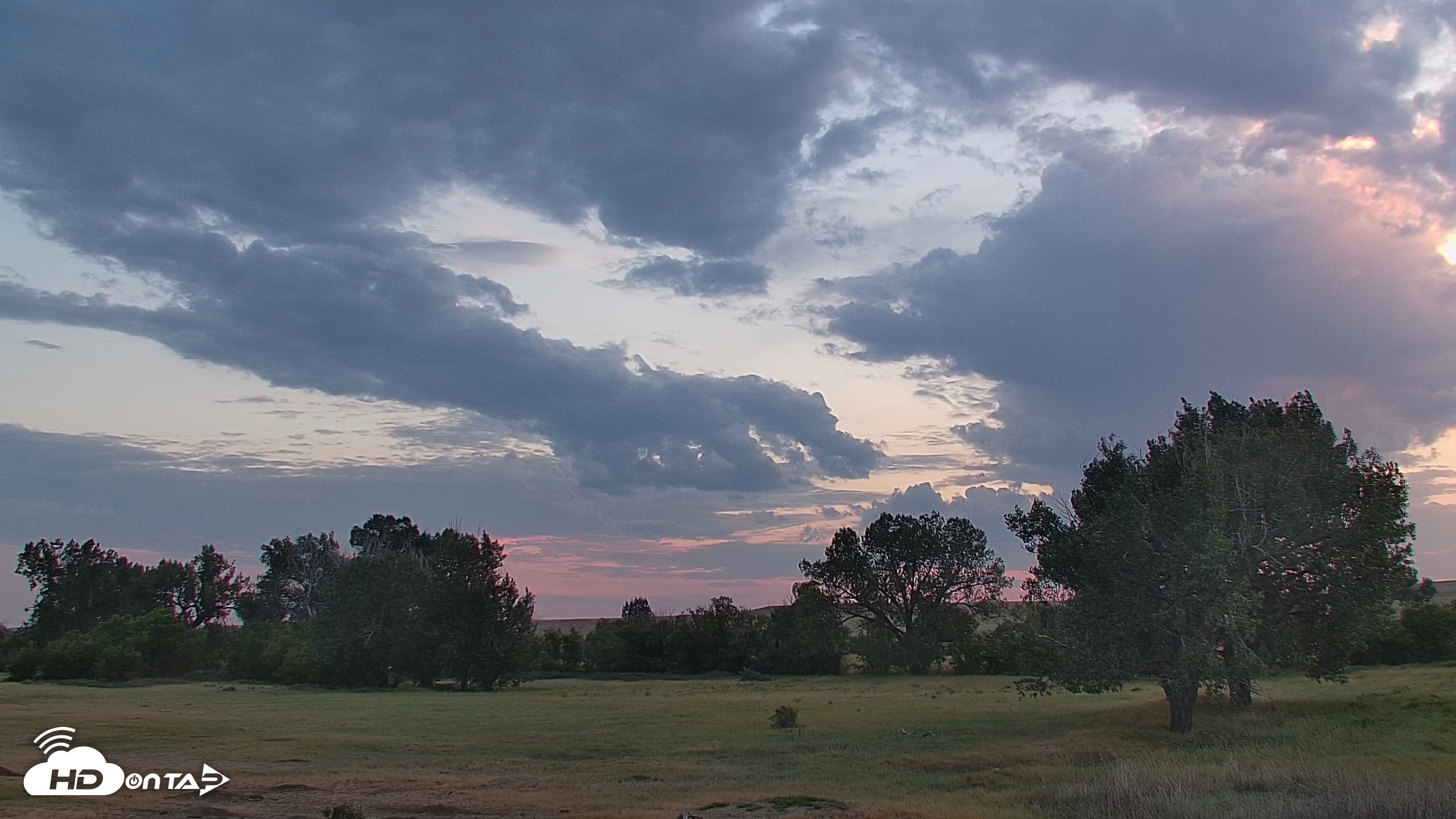 Snapshot of Montana Grasslands Bison Live Webcam taken Aug 16, 2026, 8:18pm MDT