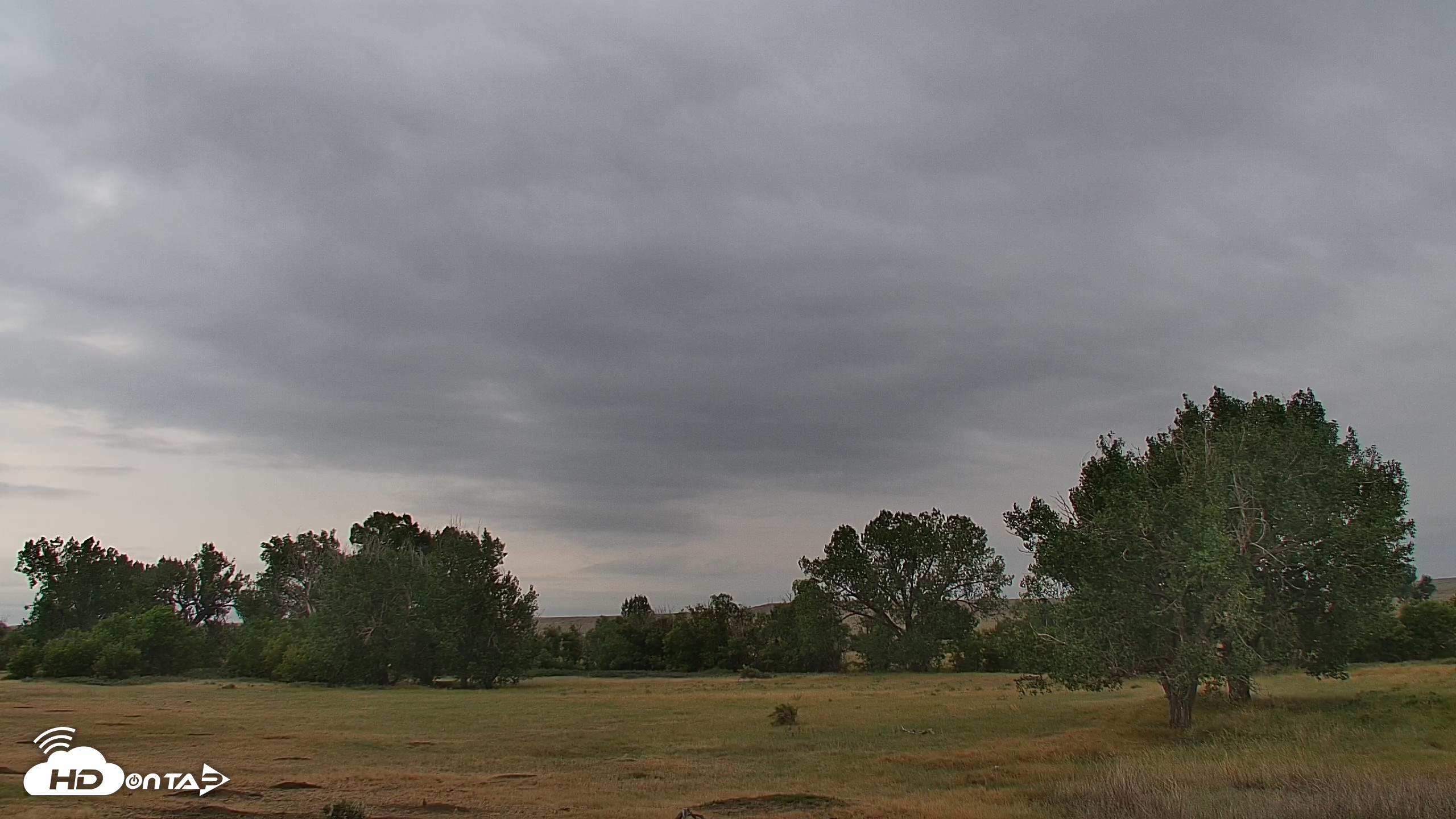 Snapshot of Montana Grasslands Bison Live Webcam taken Aug 13, 2026, 7:24am MDT
