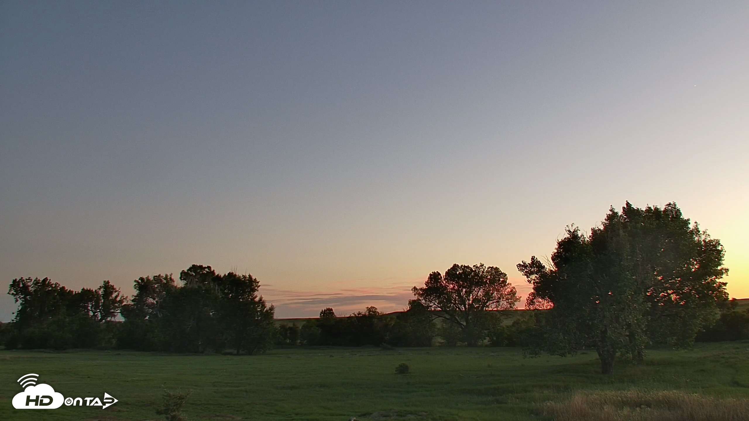 Snapshot of Montana Grasslands Bison Live Webcam taken Jul 10, 2026, 9:30pm MDT