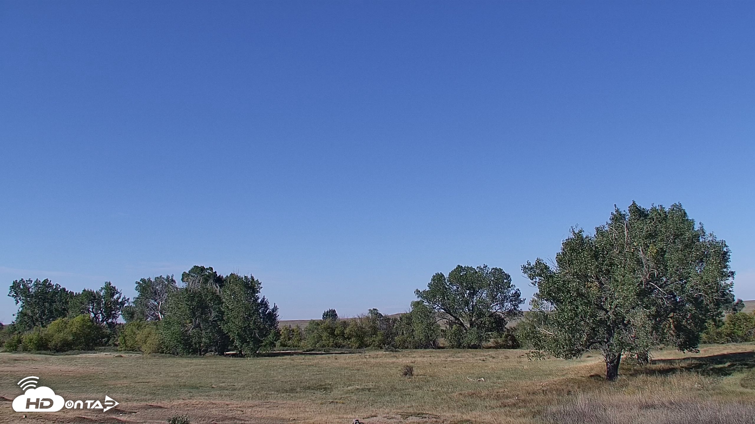 Snapshot of Montana Grasslands Bison Live Webcam taken Sep 18, 2026, 10:20am MDT