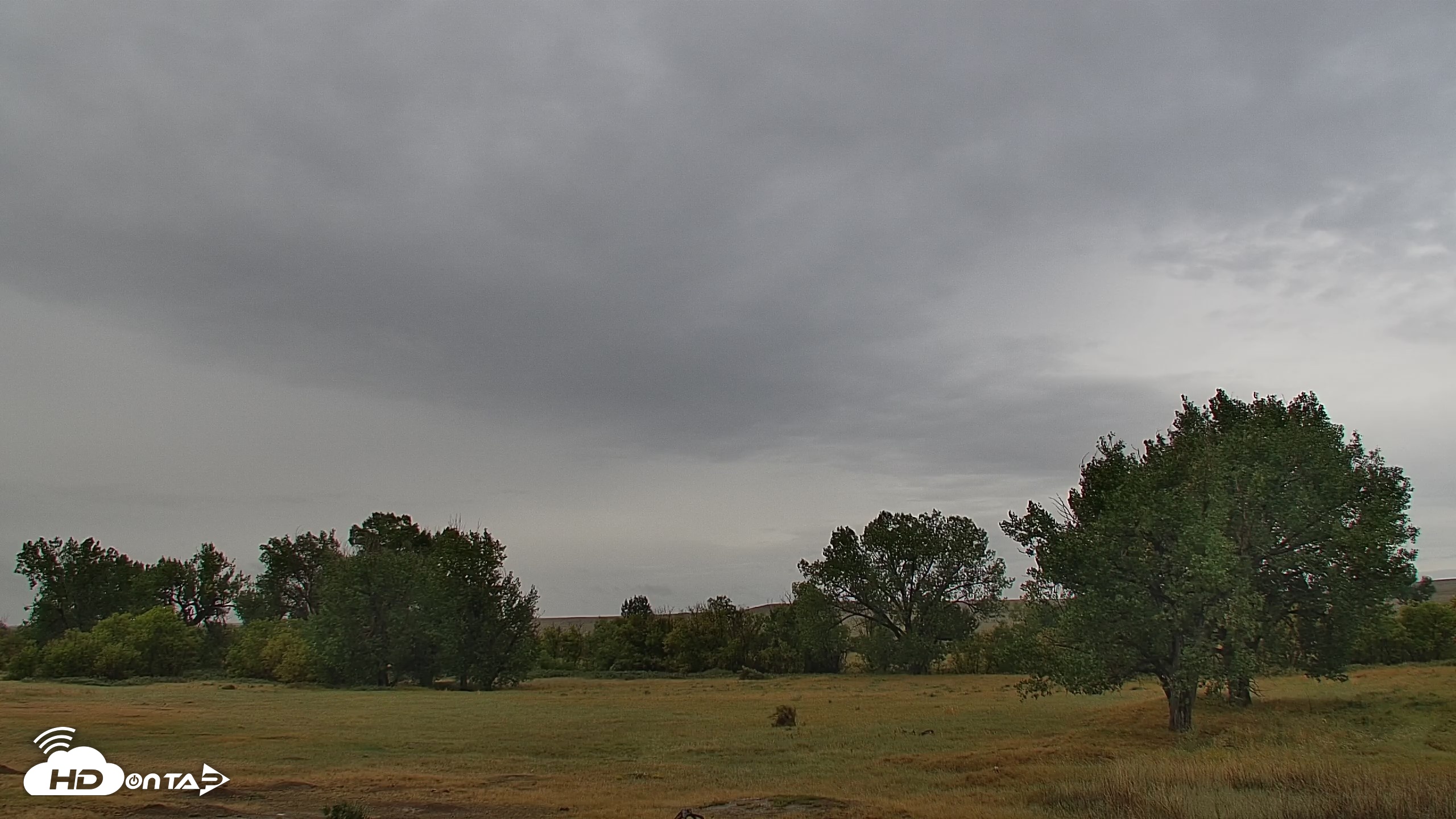 Snapshot of Montana Grasslands Bison Live Webcam taken Sep 11, 2026, 10:34am MDT