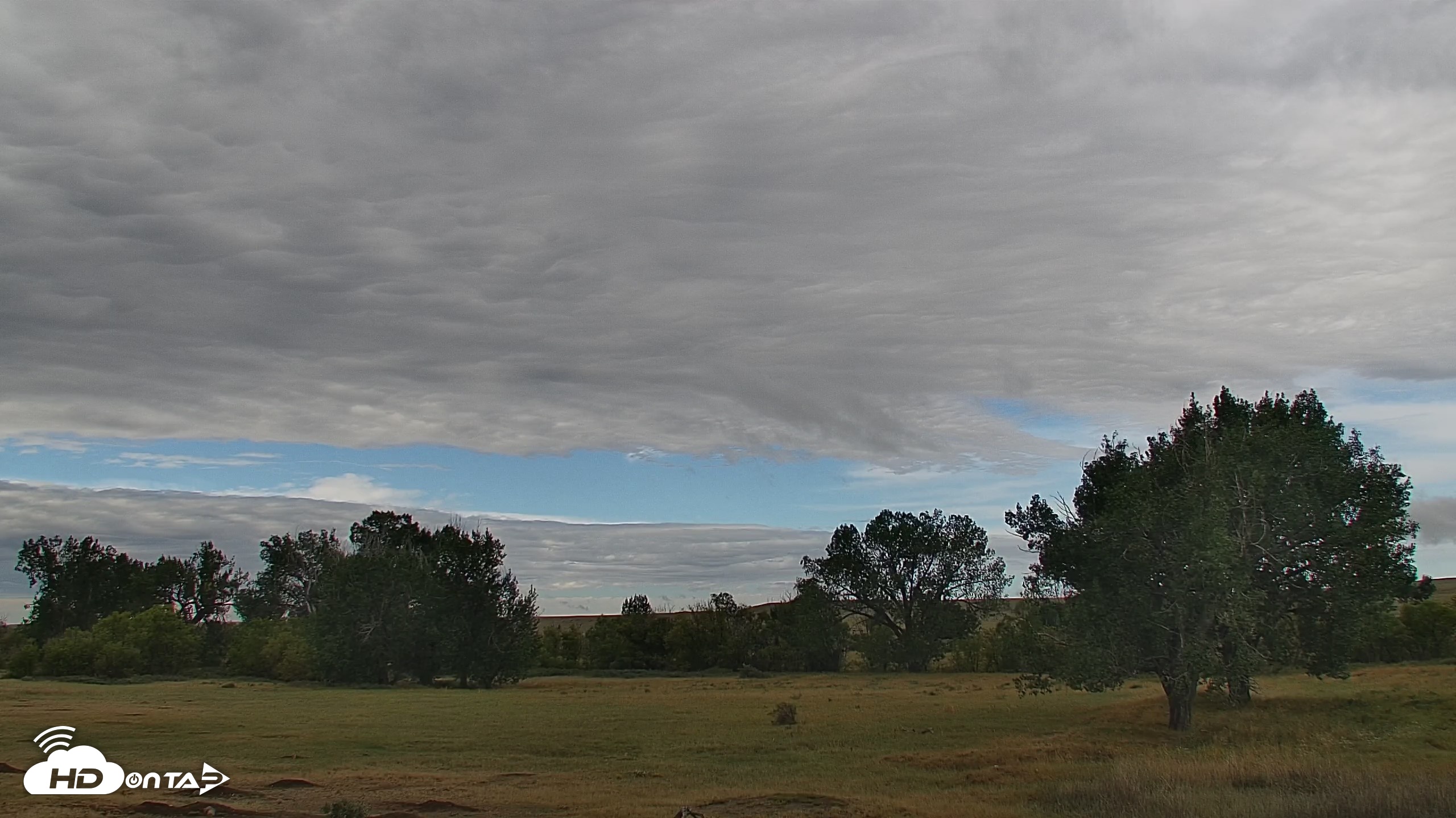 Snapshot of Montana Grasslands Bison Live Webcam taken Sep 14, 2026, 9:48am MDT