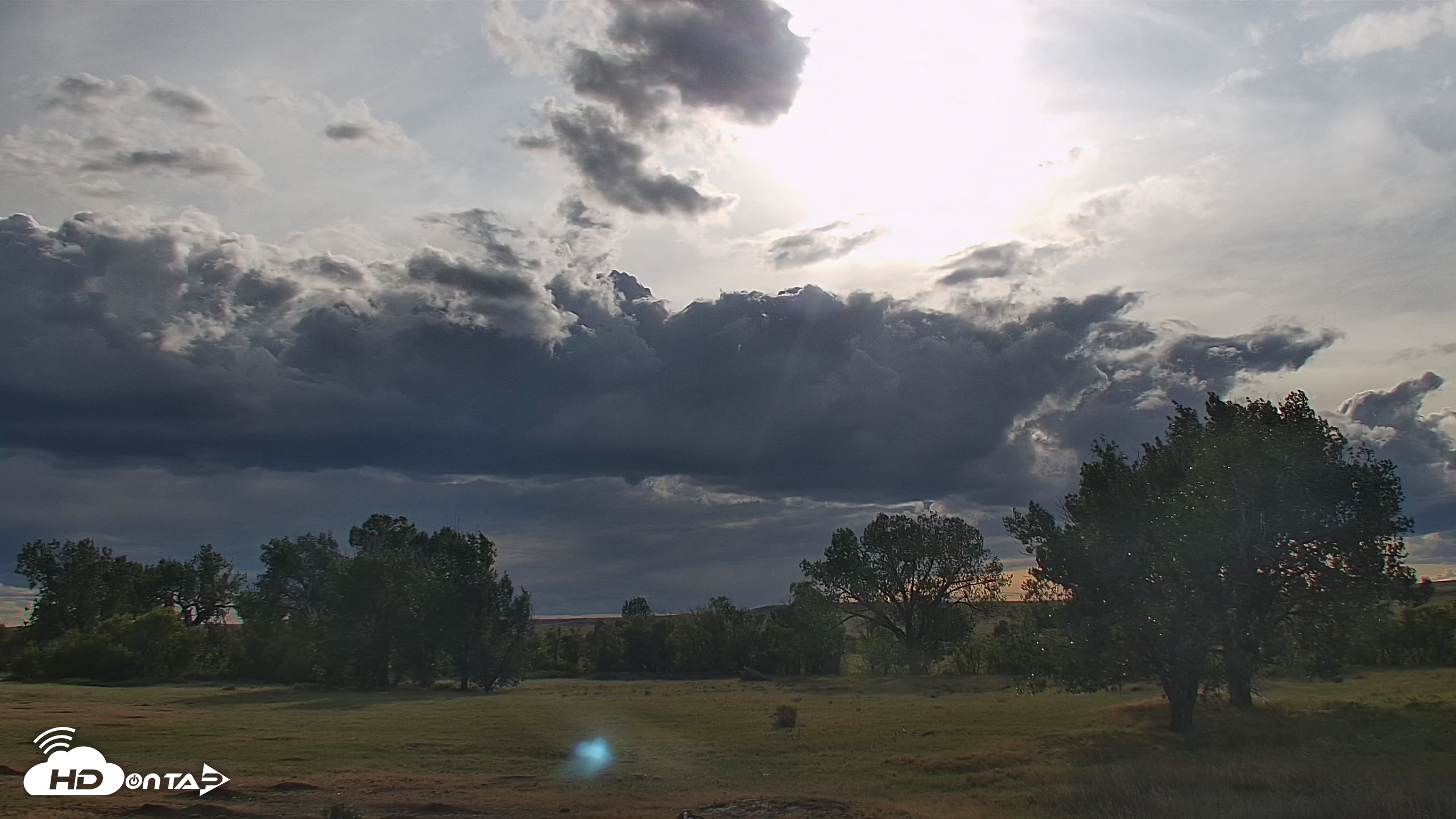 Snapshot of Montana Grasslands Bison Live Webcam taken Sep 11, 2026, 5:26pm MDT