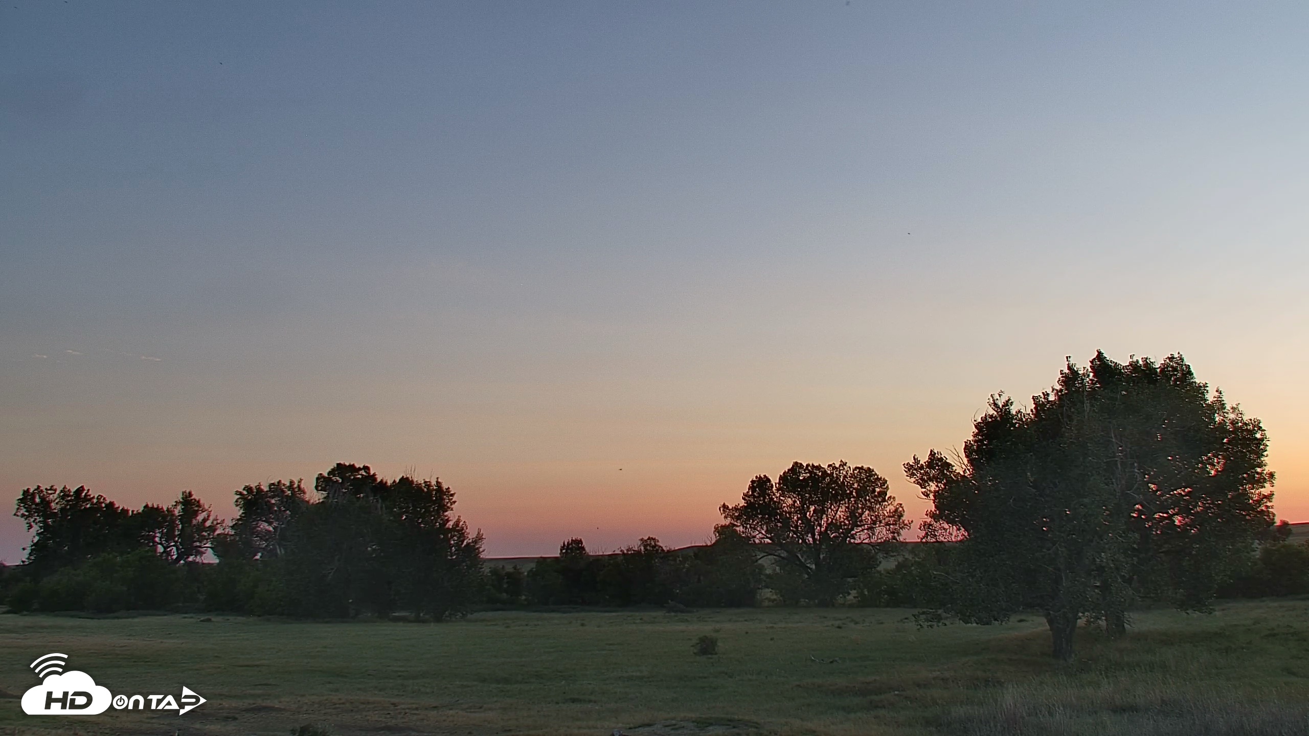 Snapshot of Montana Grasslands Bison Live Webcam taken Aug 25, 2026, 7:58pm MDT
