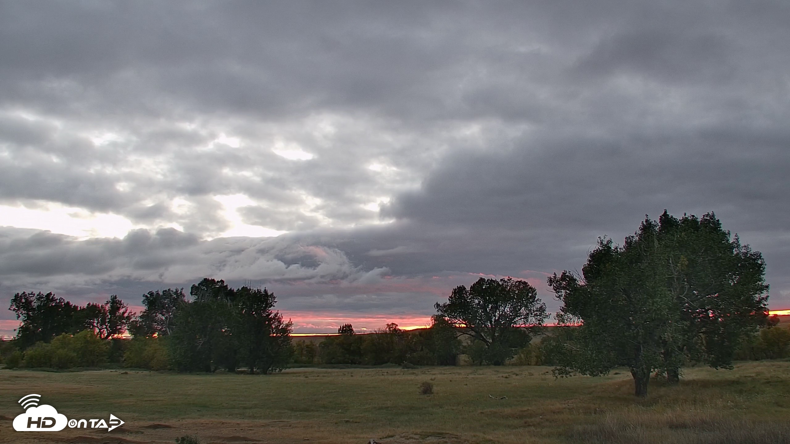 Snapshot of Montana Grasslands Bison Live Webcam taken Sep 20, 2026, 7:16pm MDT