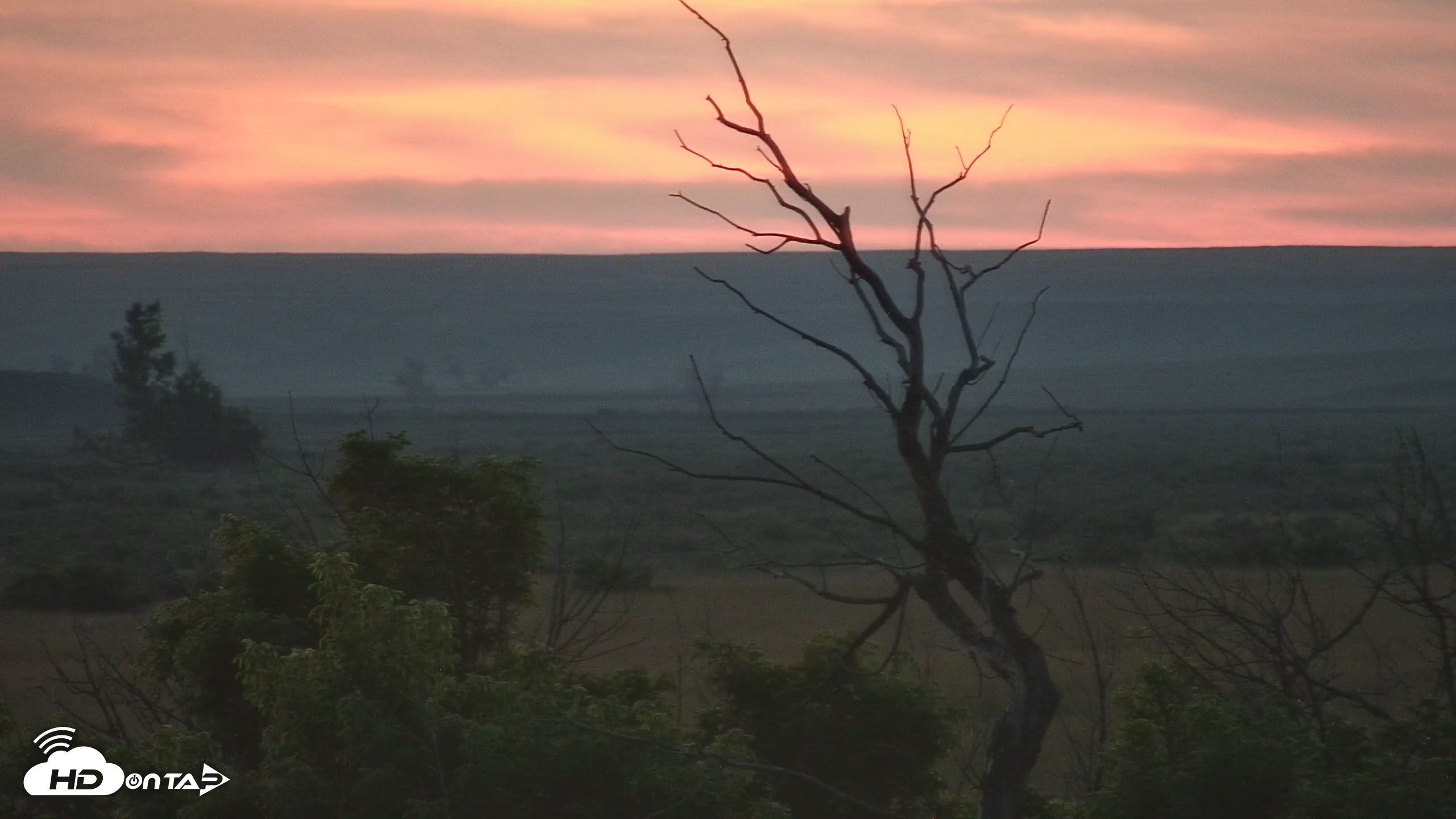 Snapshot of Montana Grasslands Bison Live Webcam taken Jul 23, 2025, 9:32pm MDT