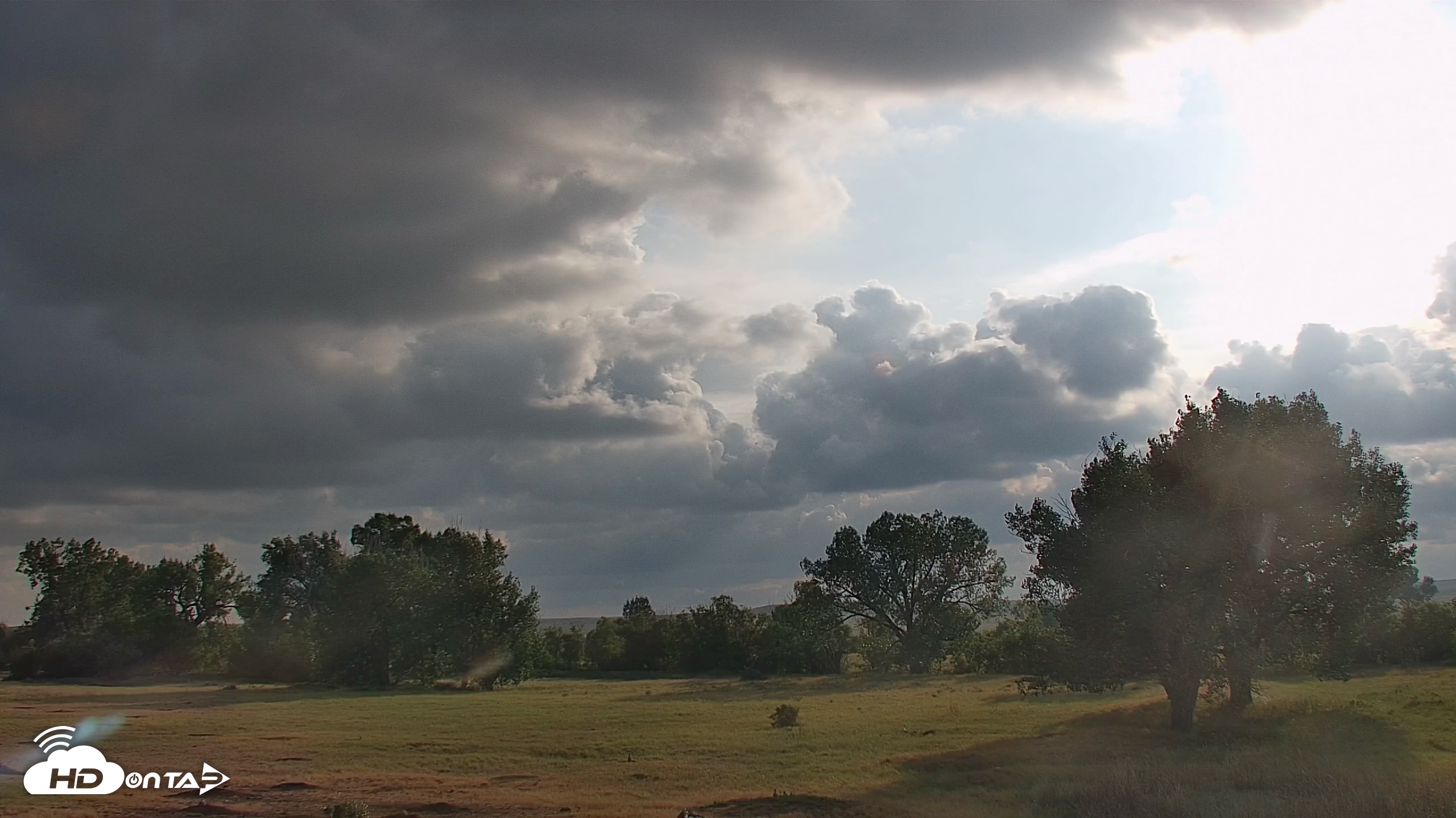 Snapshot of Montana Grasslands Bison Live Webcam taken Aug 14, 2026, 6:33pm MDT