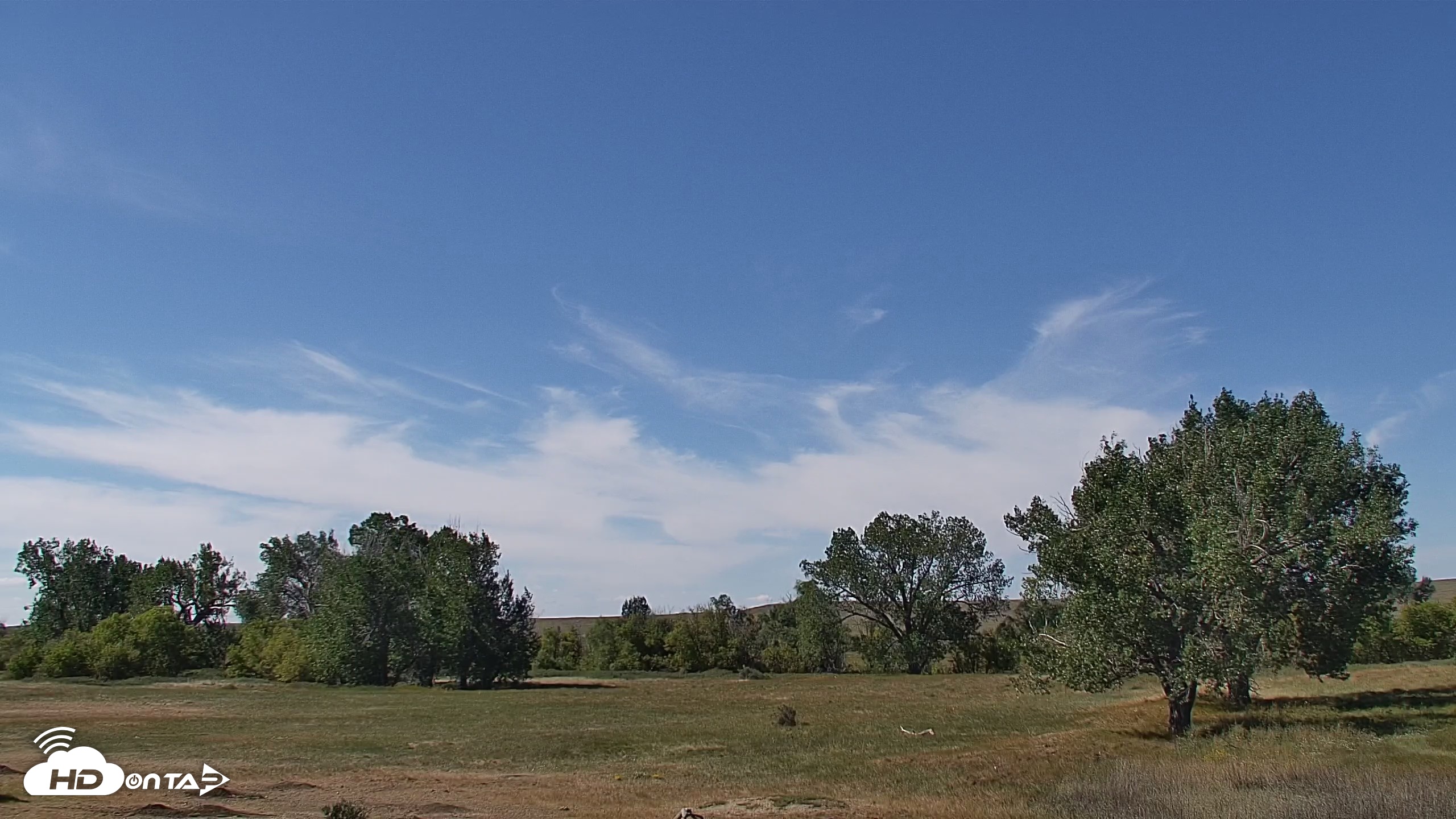 Snapshot of Montana Grasslands Bison Live Webcam taken Sep 9, 2026, 12:18pm MDT